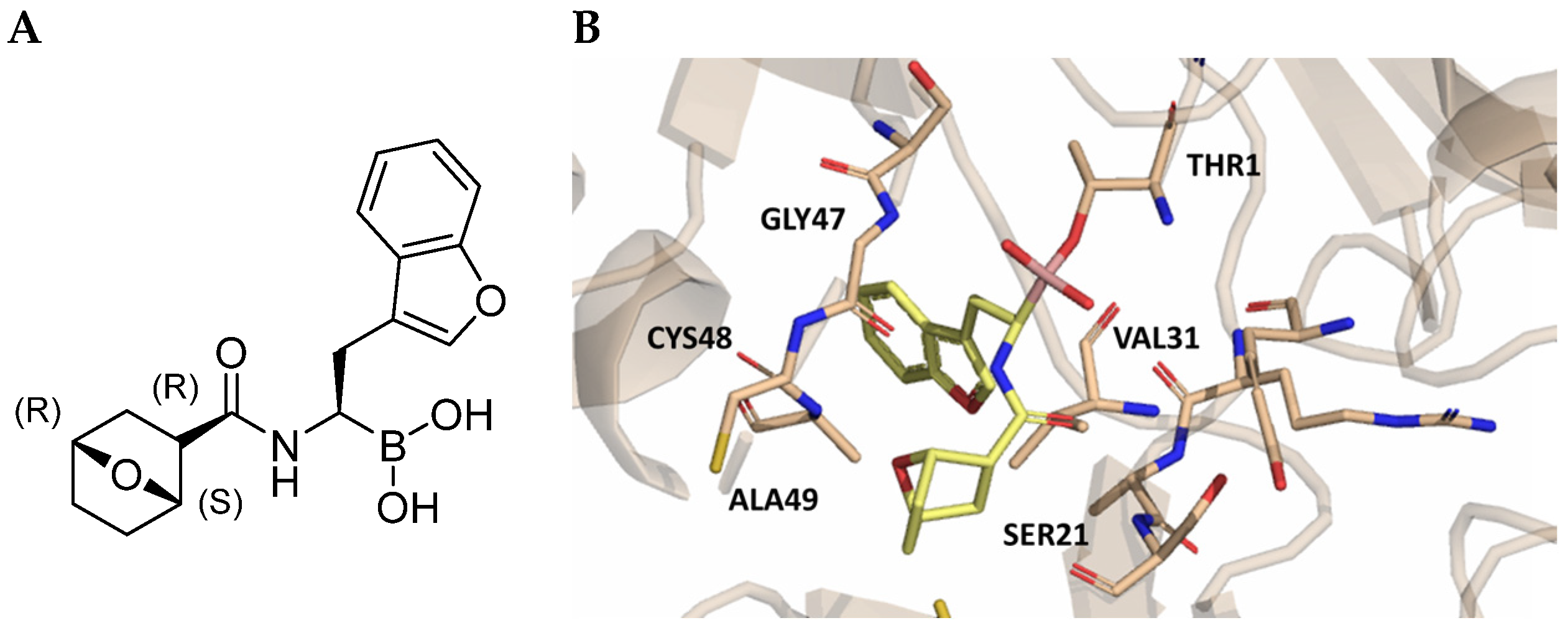 Molecules 30 00755 g022