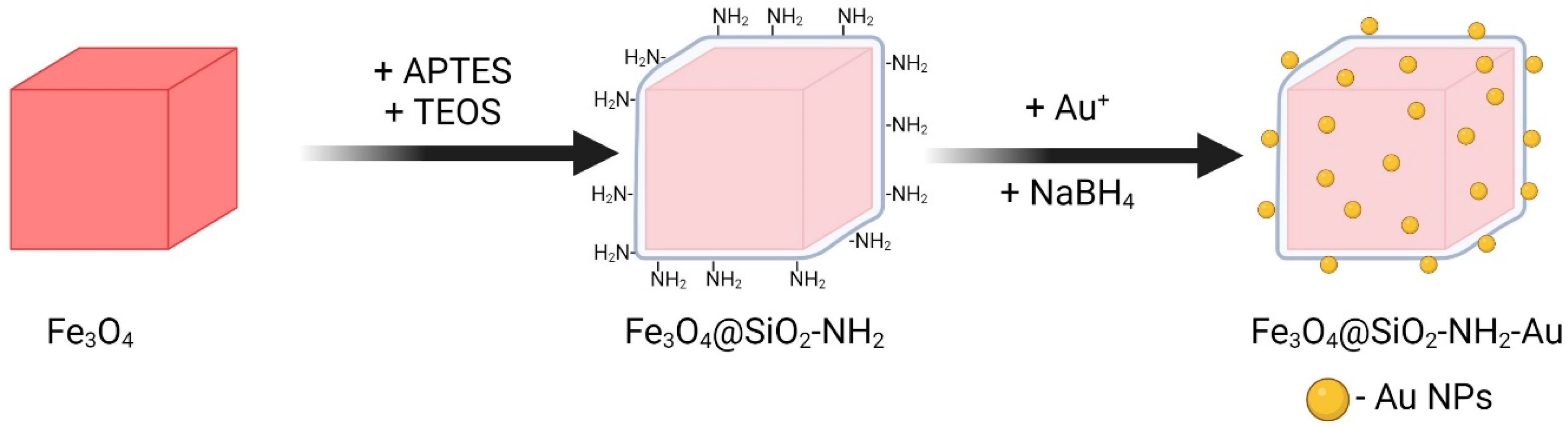 Molecules 30 00756 g010