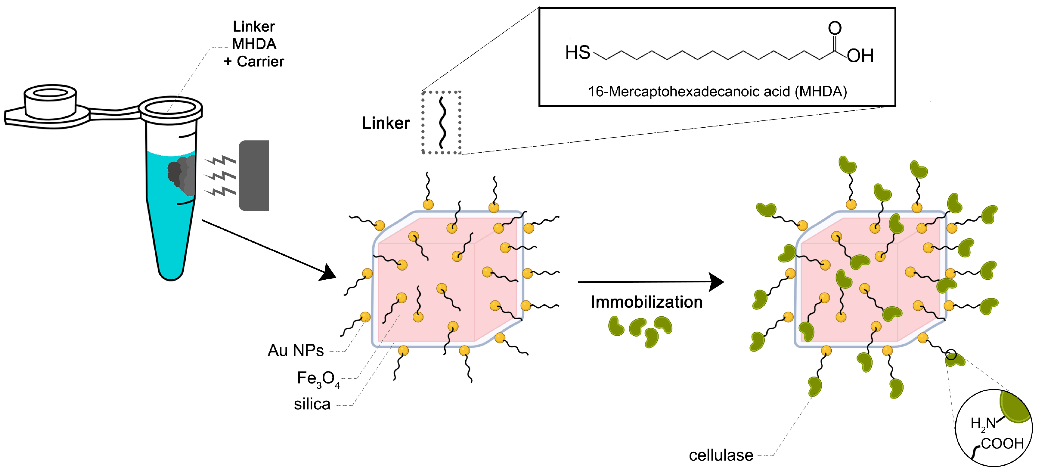 Molecules 30 00756 g011