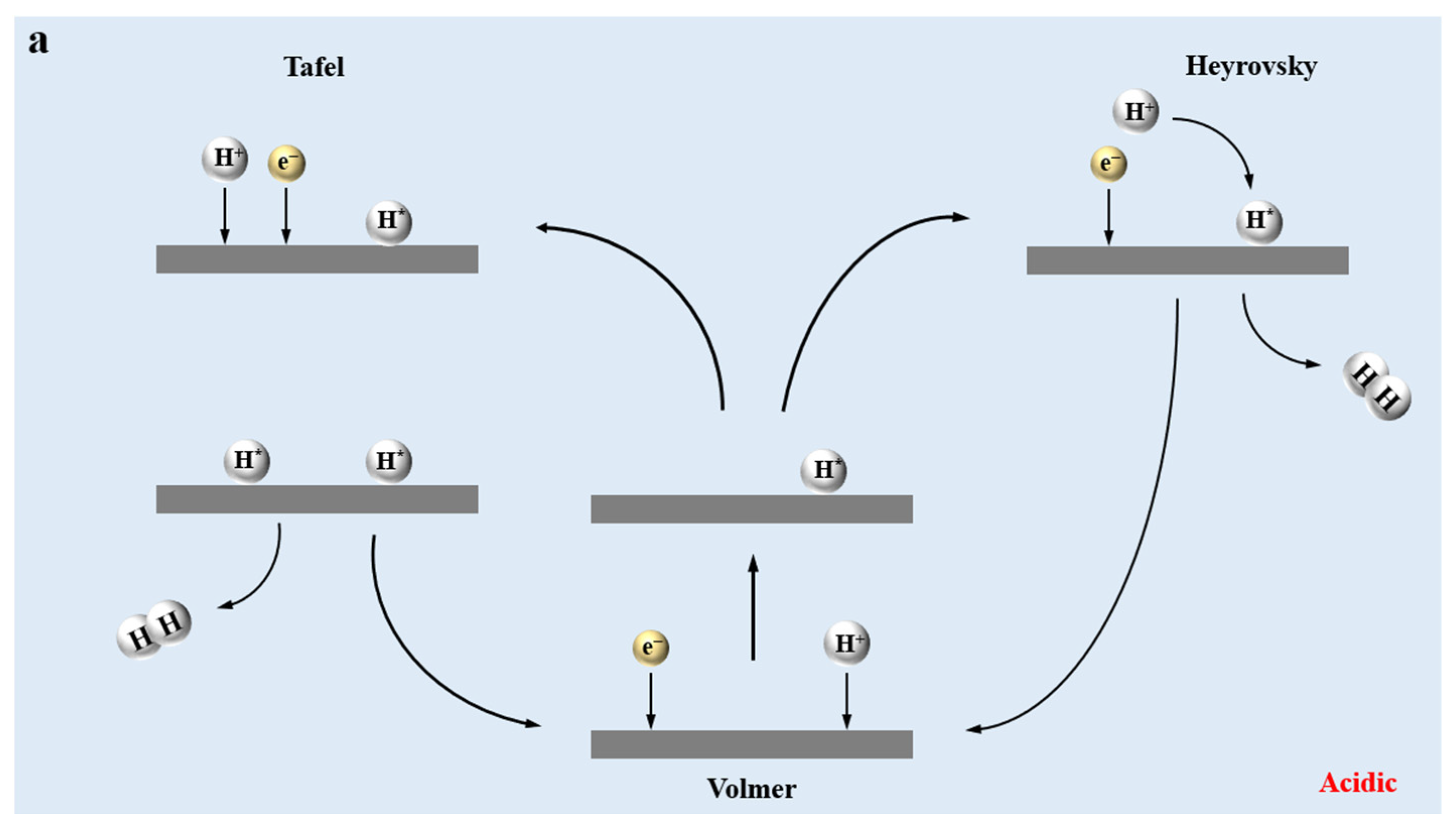 Molecules 30 00759 g001a