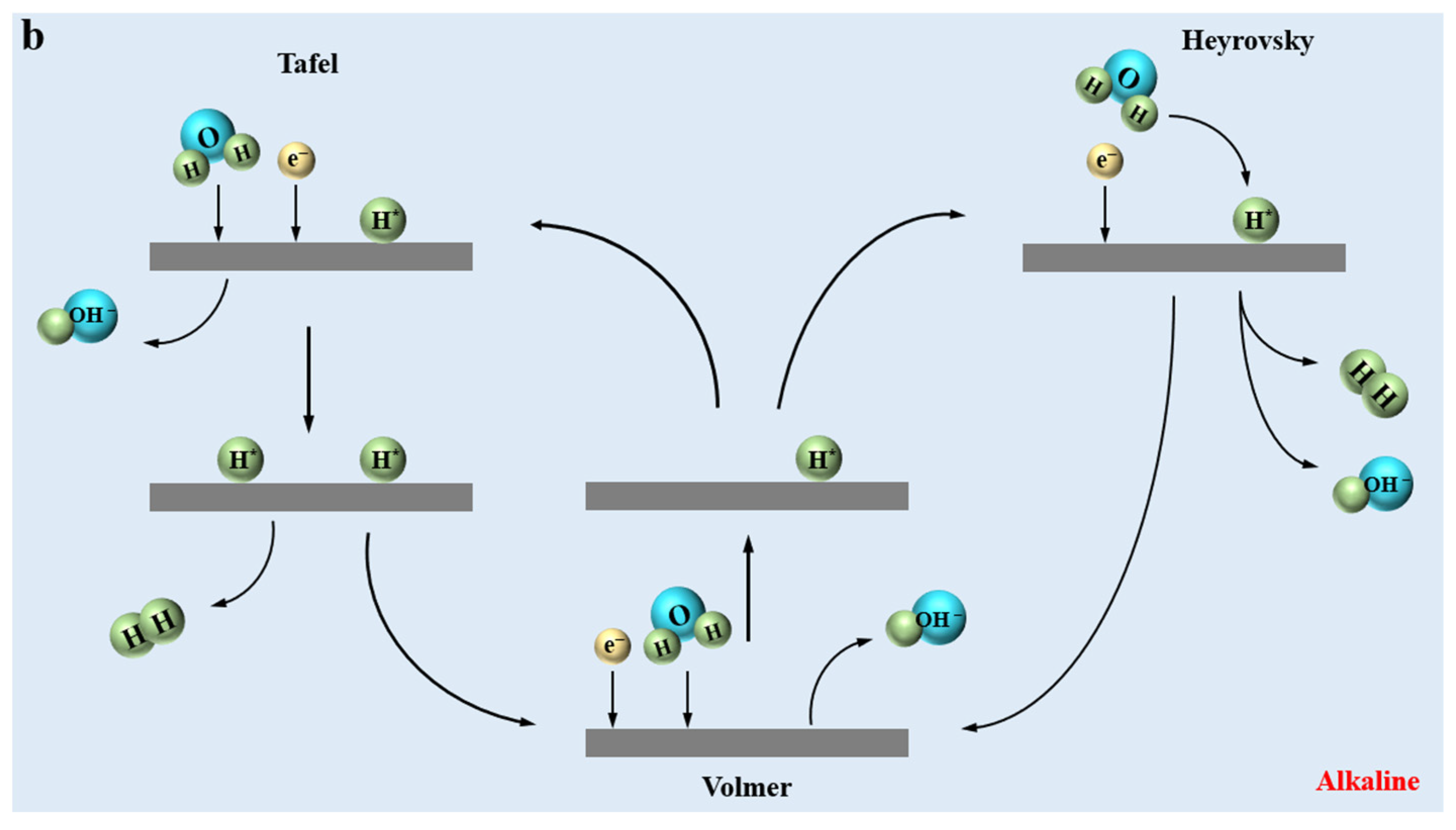 Molecules 30 00759 g001b