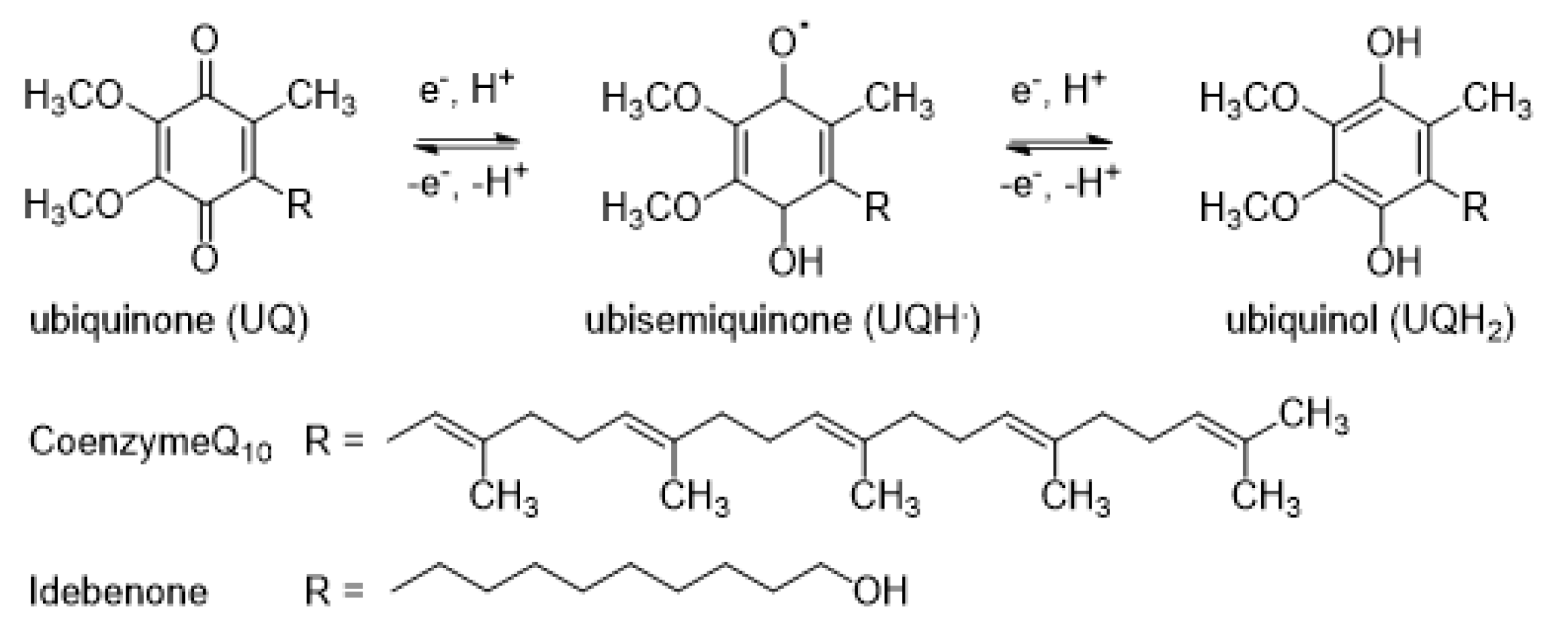 Molecules 30 00760 g003 Molecules 30 00760 g003