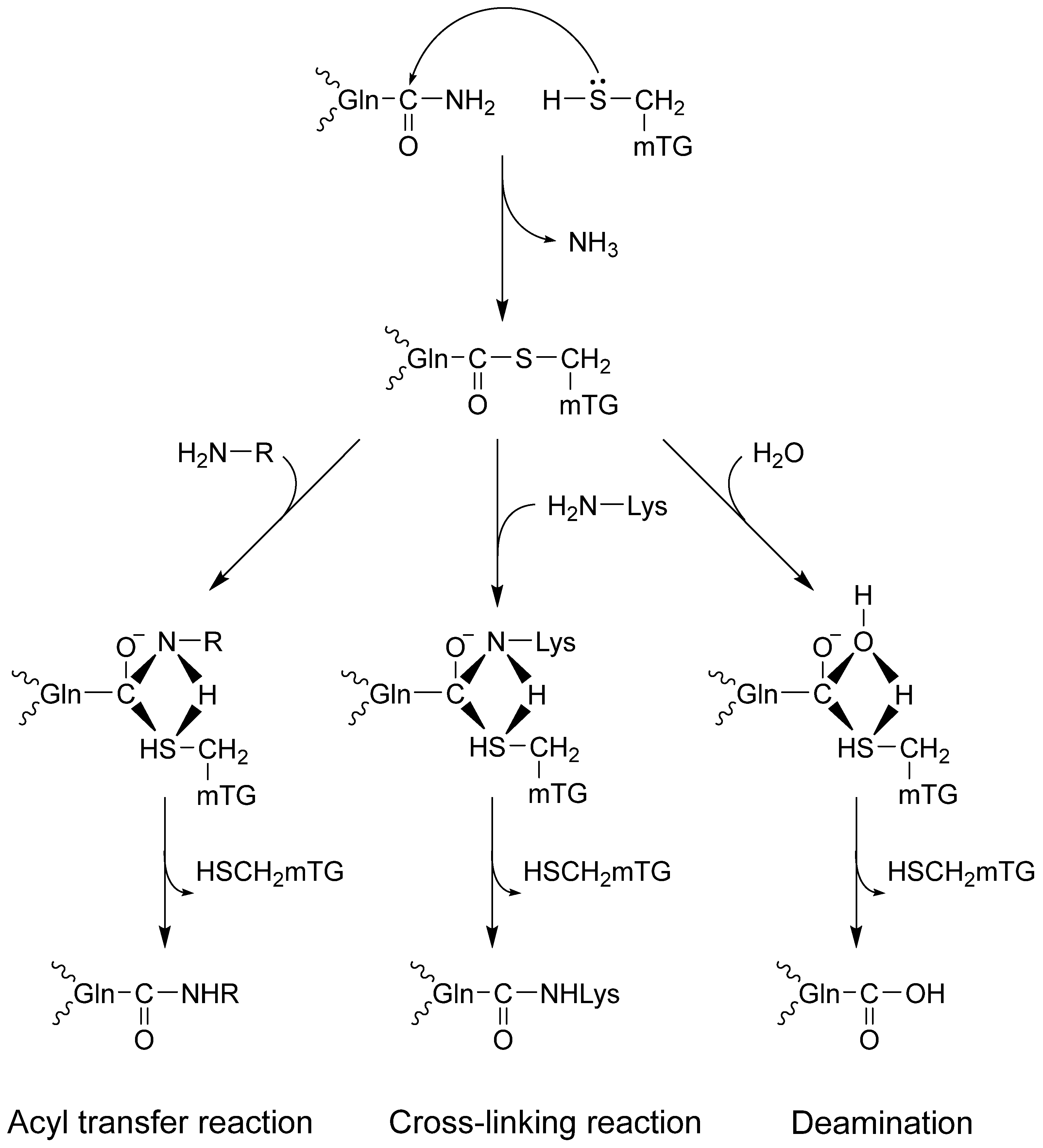 Molecules 30 00762 g001