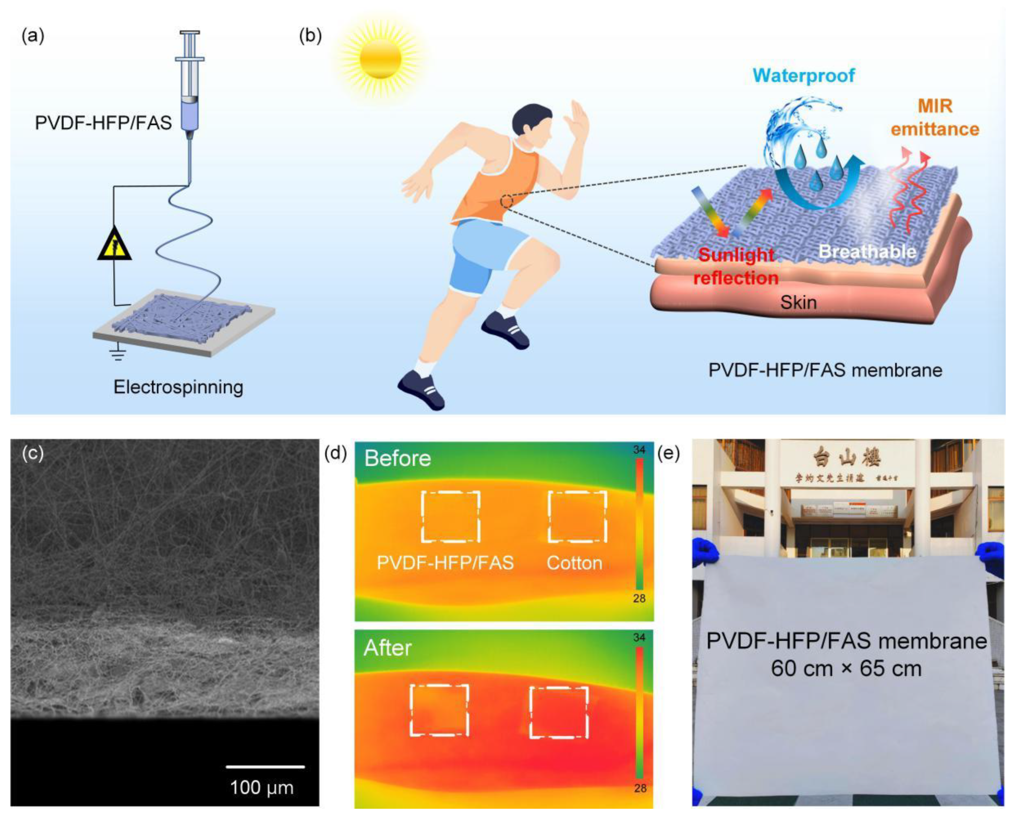 Molecules 30 00763 g001