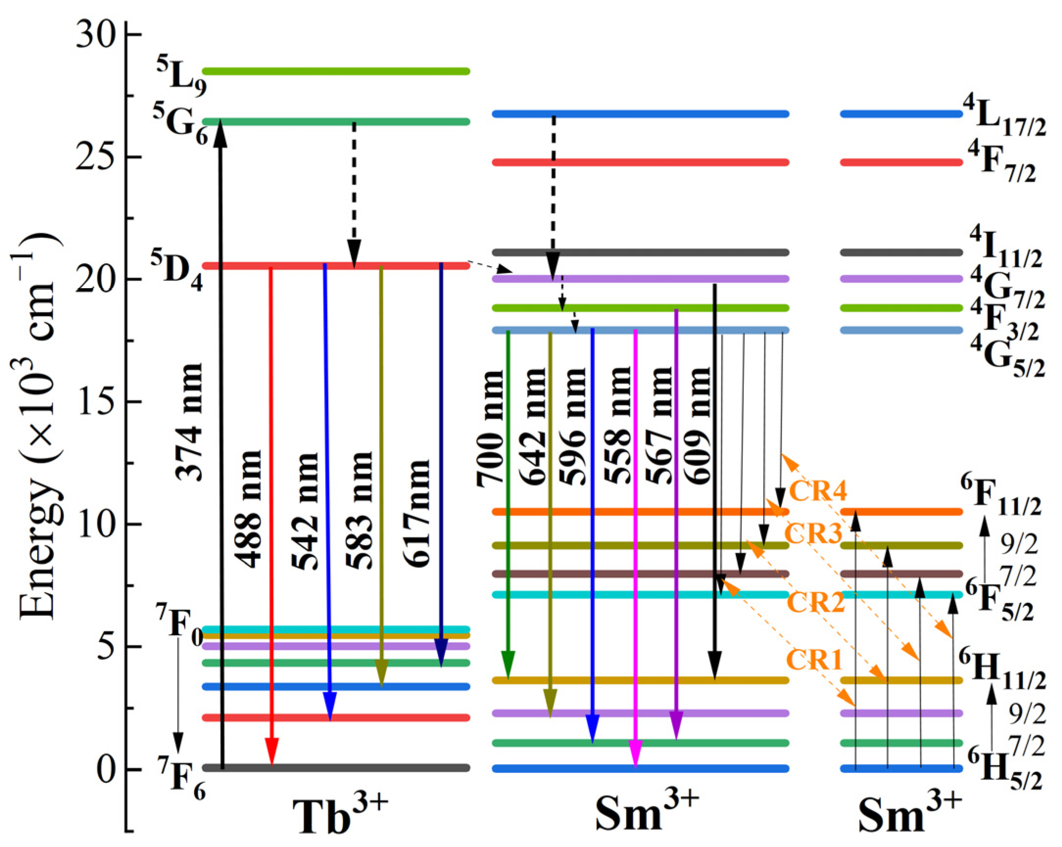 Molecules 30 00767 g006