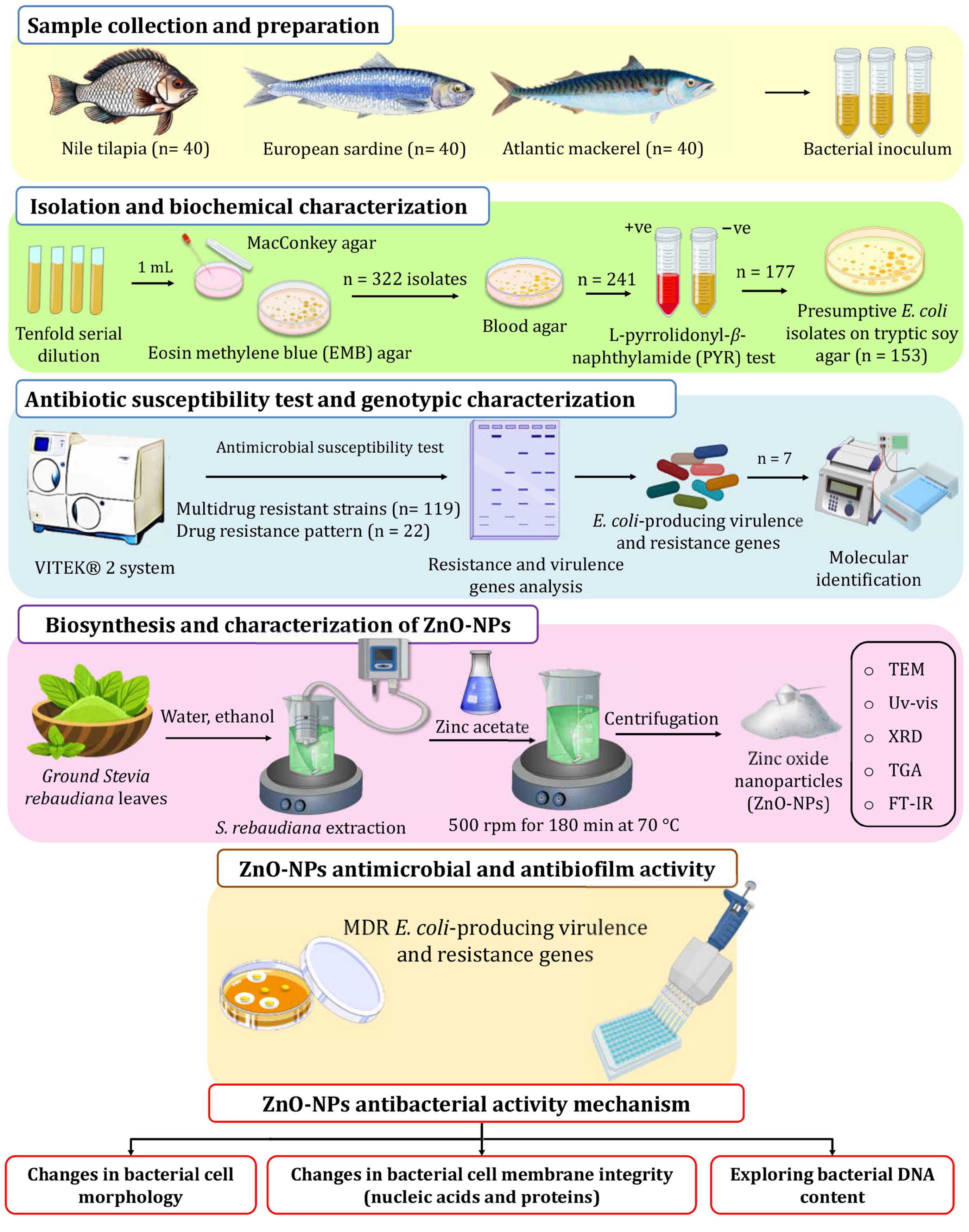Molecules 30 00768 g006 Molecules 30 00768 g006