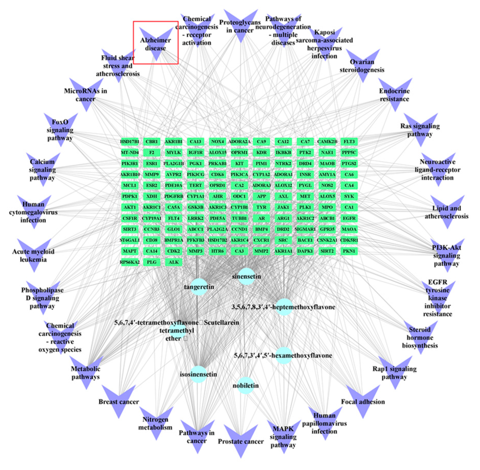 Molecules 30 00771 g003