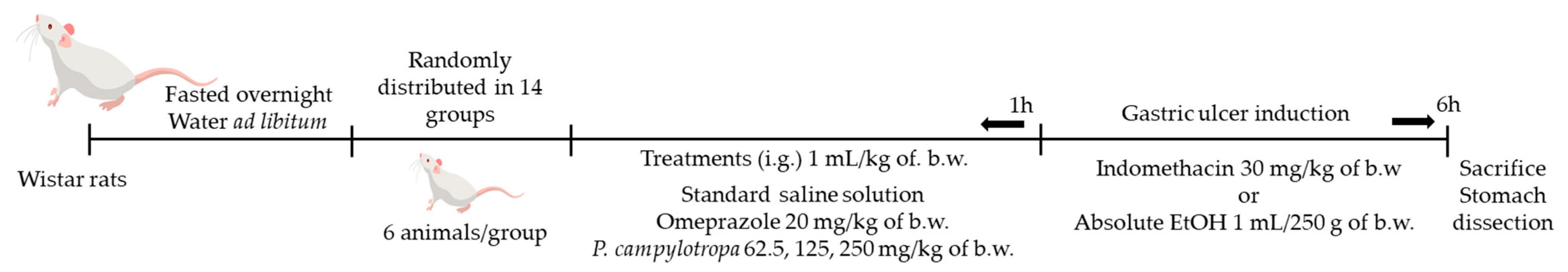 Molecules 30 00772 g006