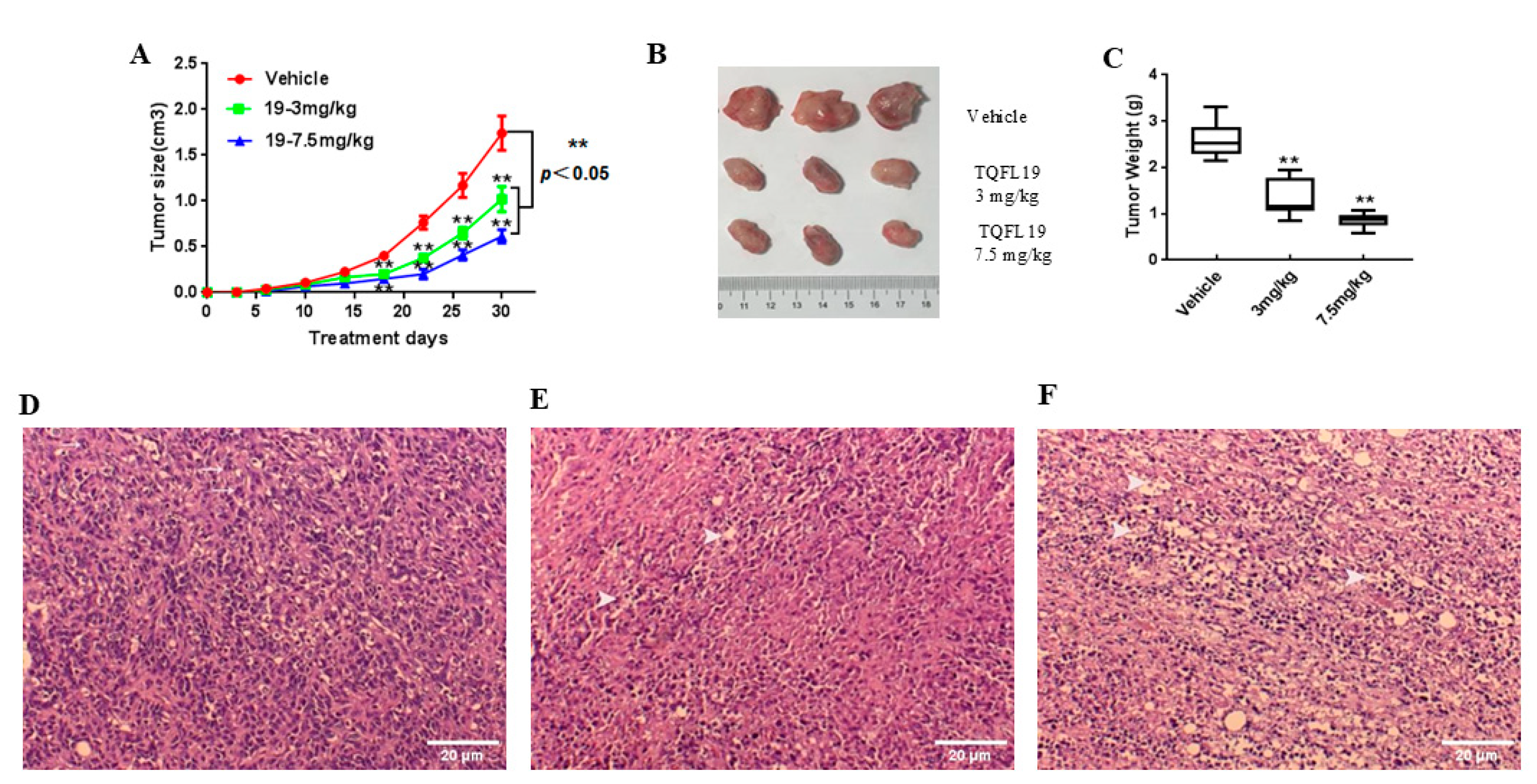 Molecules 30 00773 g006