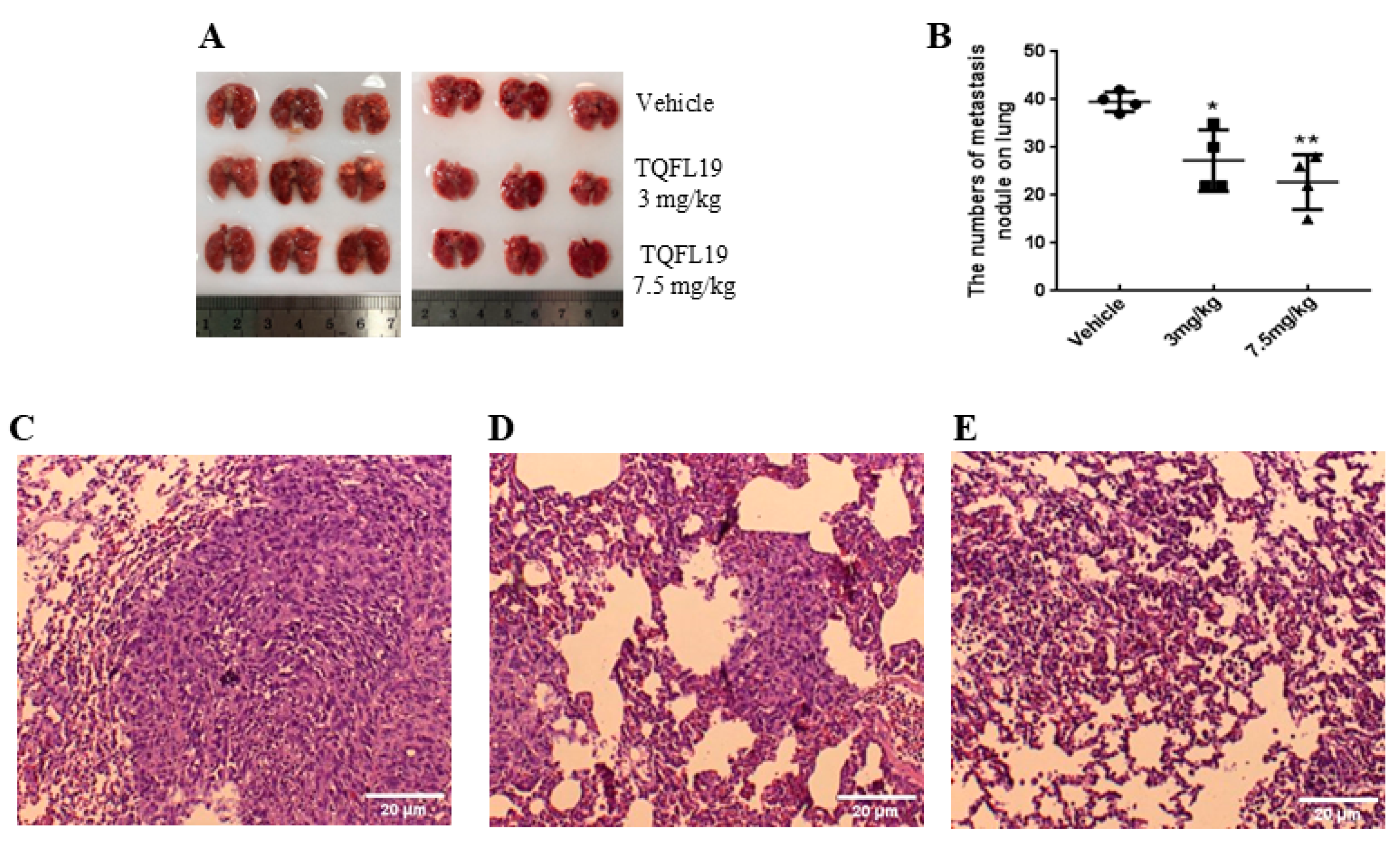 Molecules 30 00773 g007