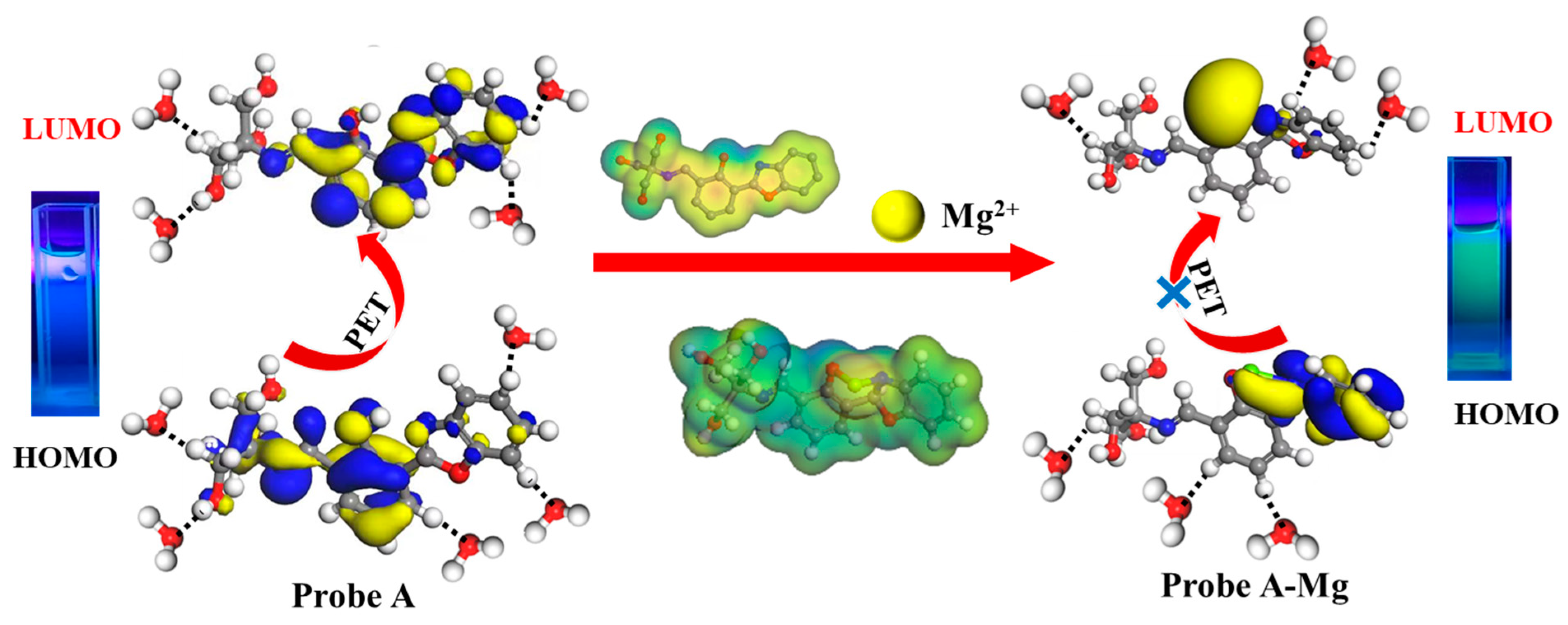 Molecules 30 00776 g011