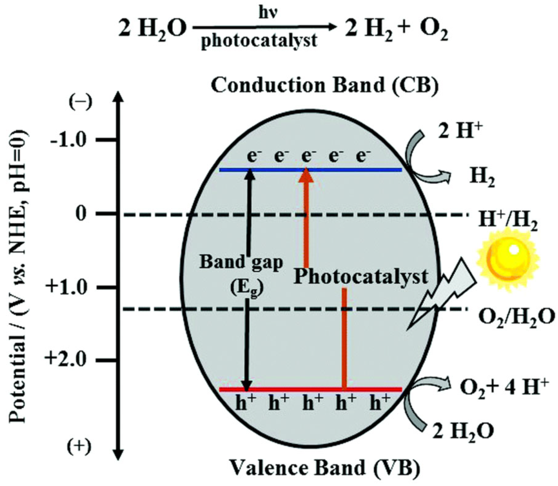 Molecules 30 00789 g001