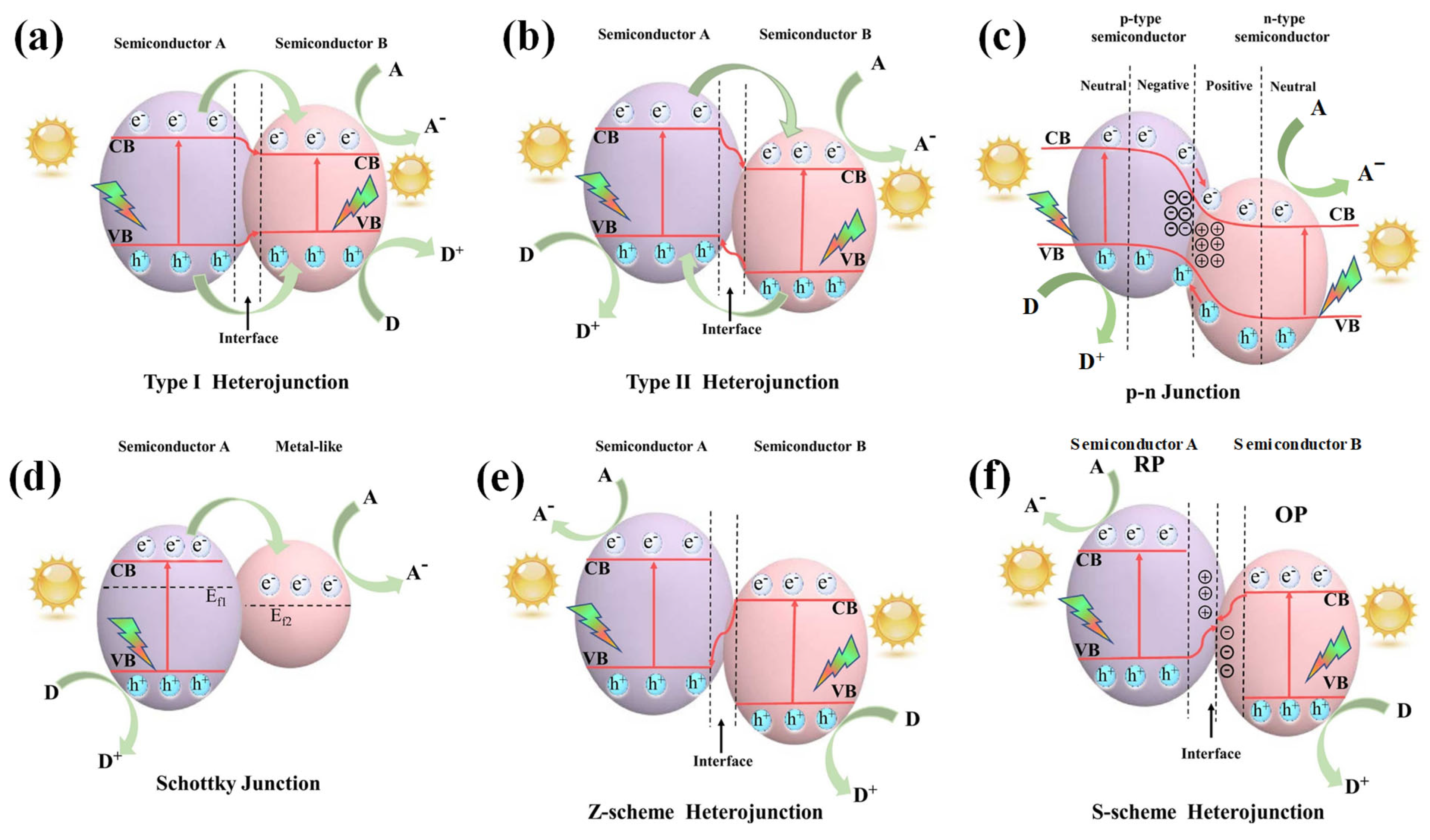 Molecules 30 00789 g002