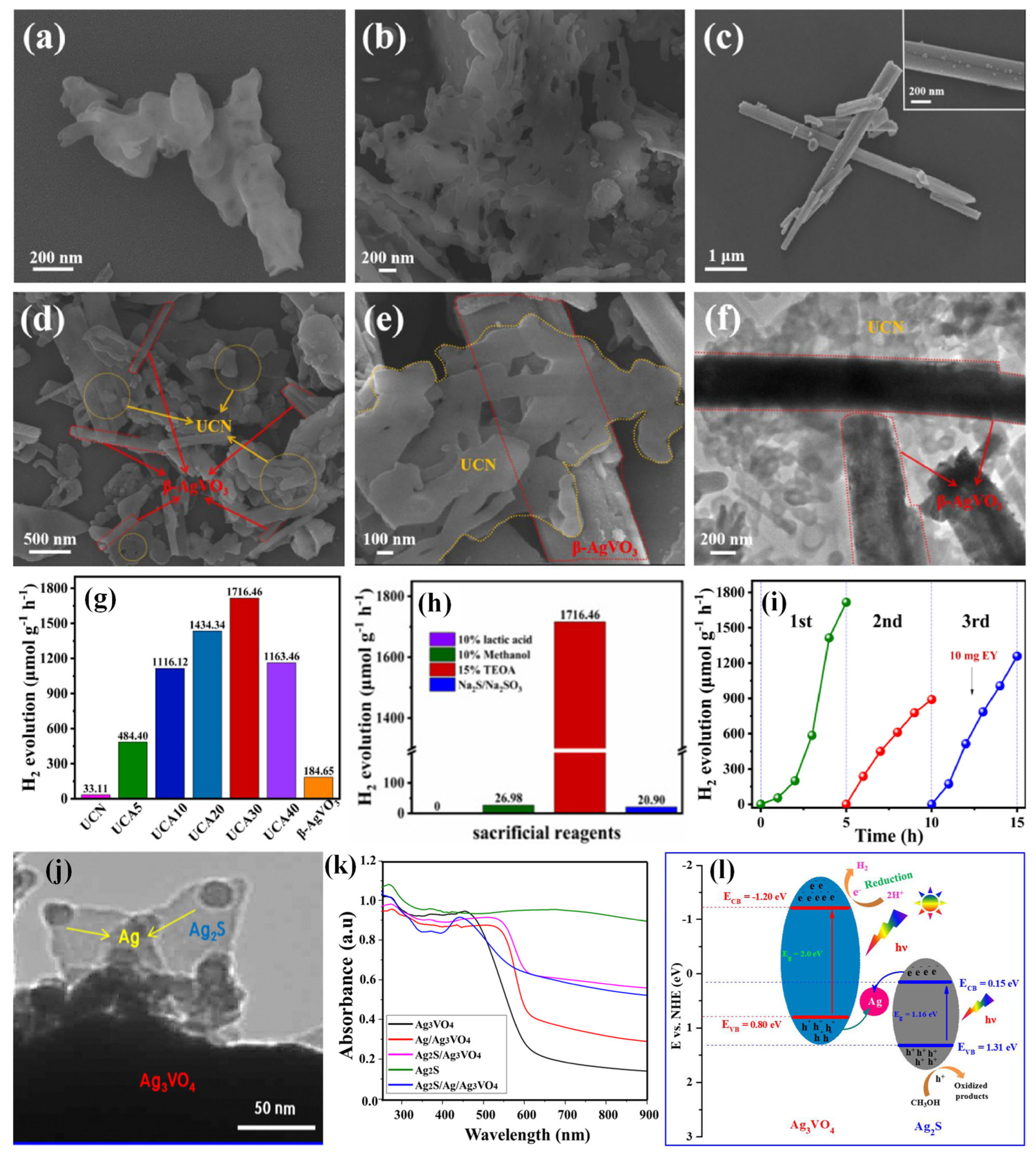 Molecules 30 00789 g005