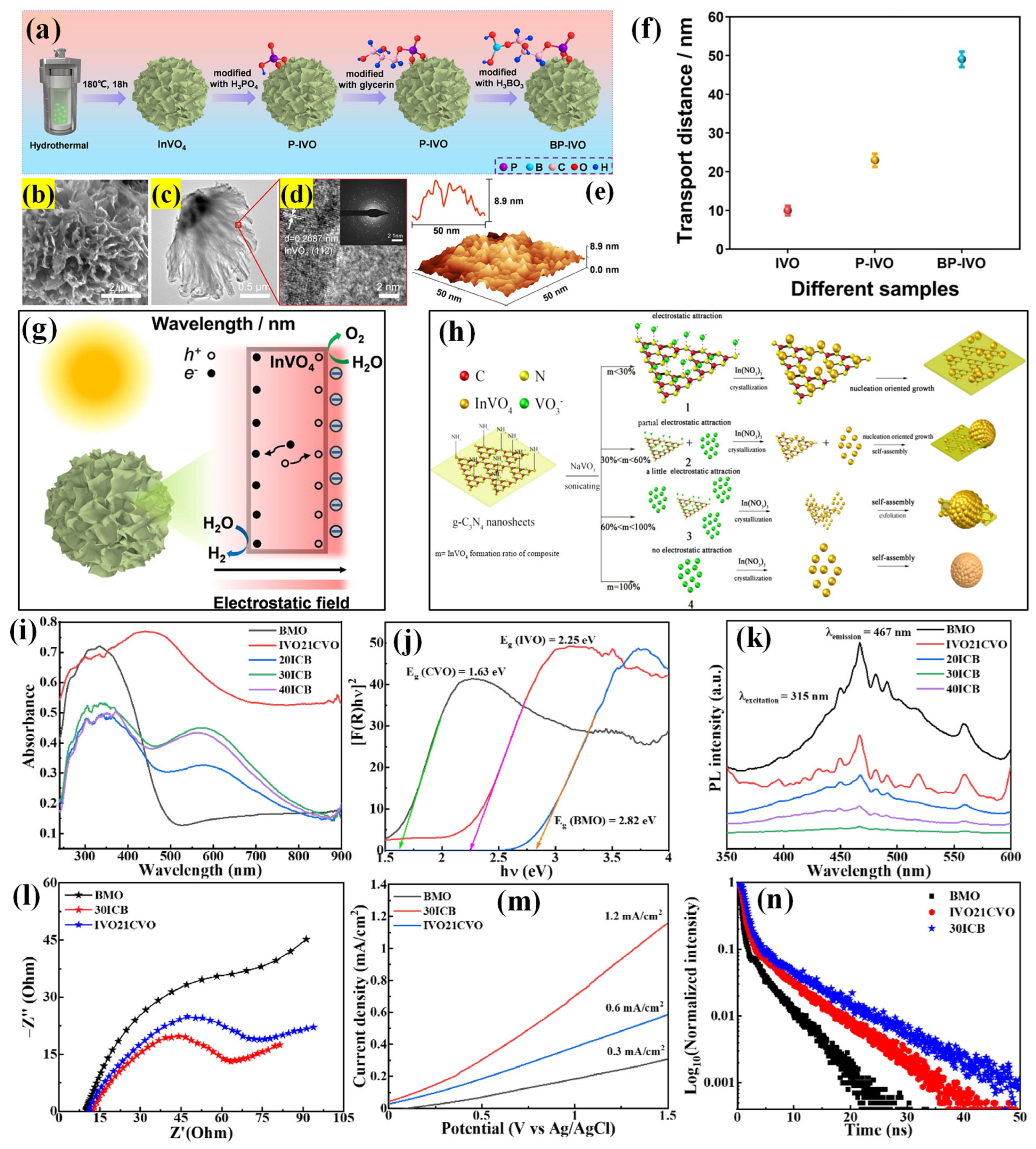 Molecules 30 00789 g006