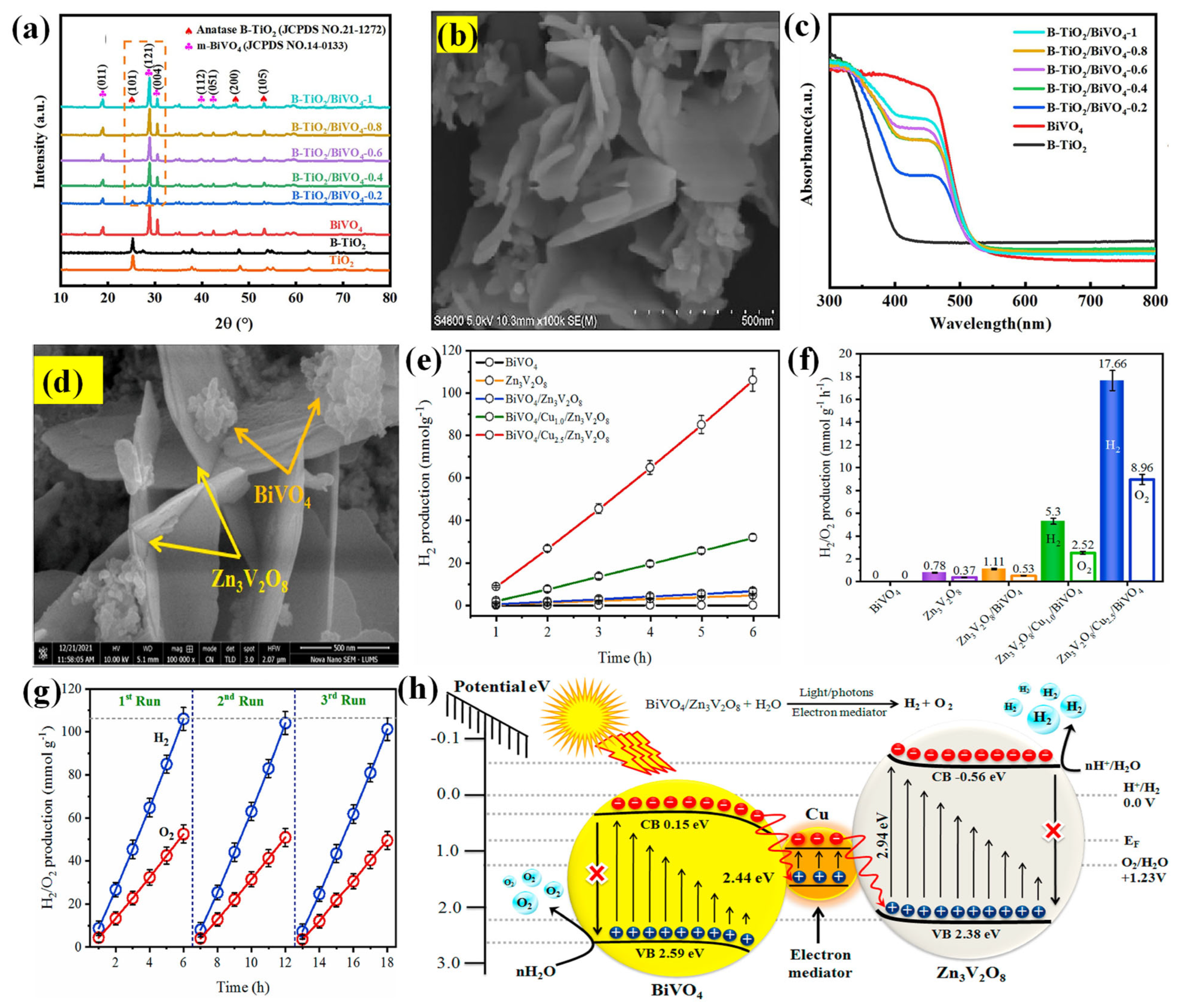 Molecules 30 00789 g007