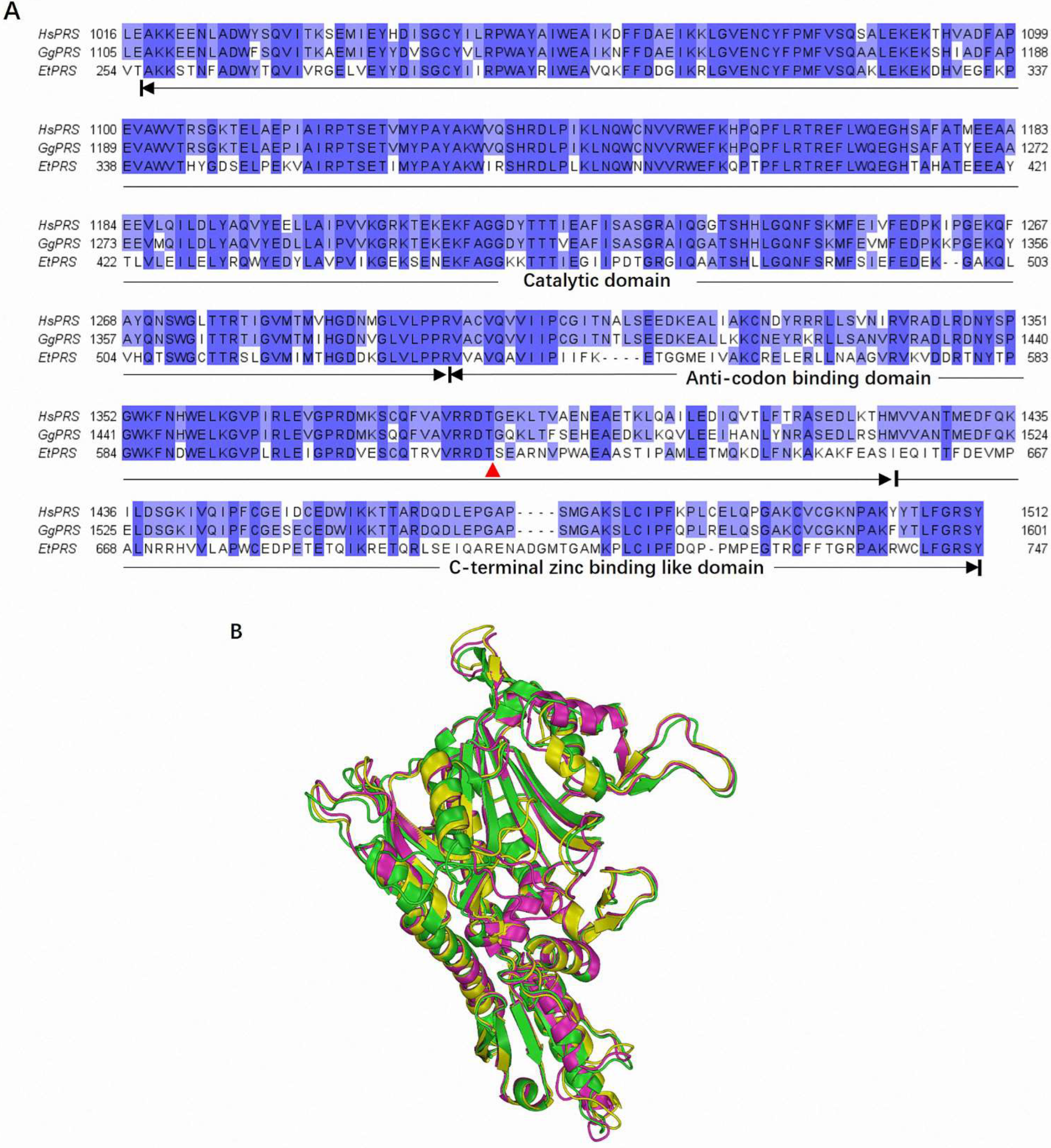 Molecules 30 00790 g001