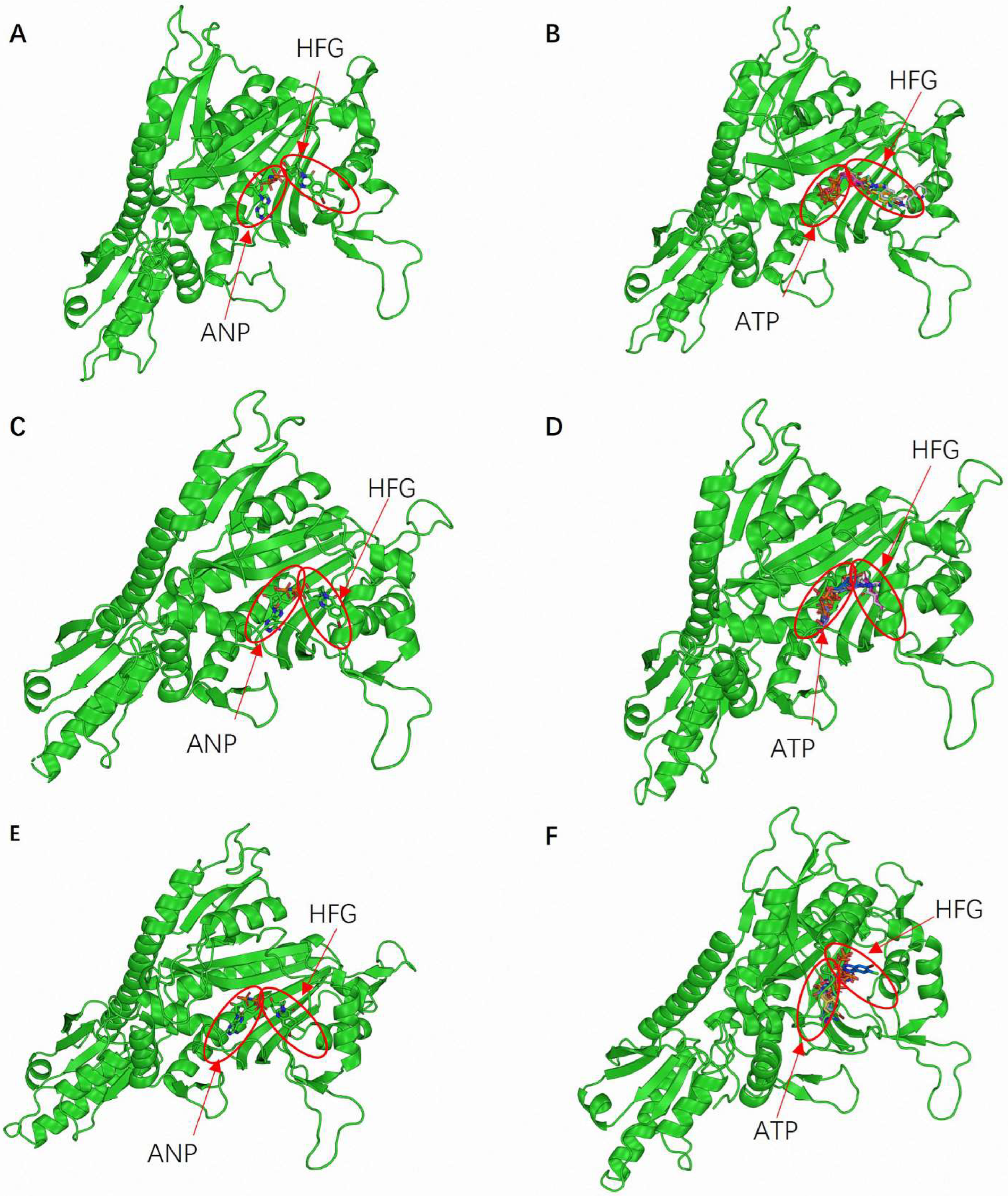Molecules 30 00790 g002