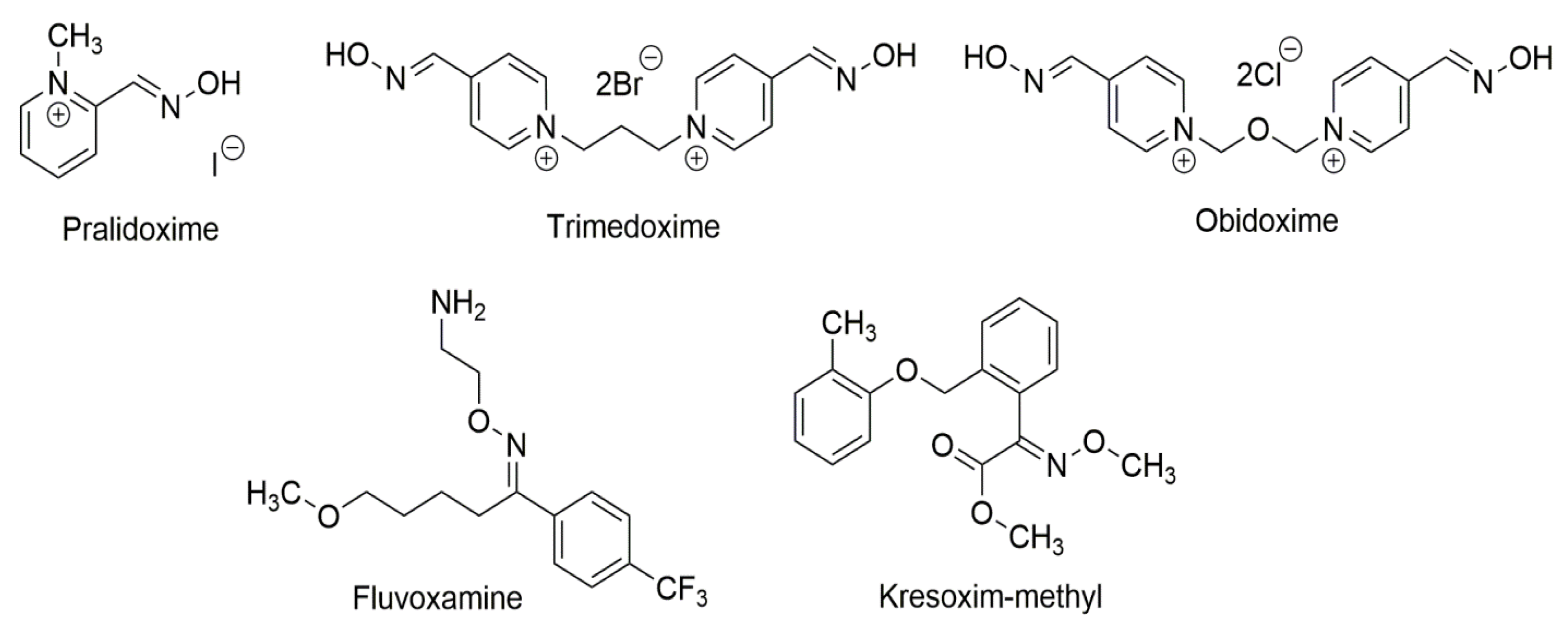 Molecules 30 00791 g004