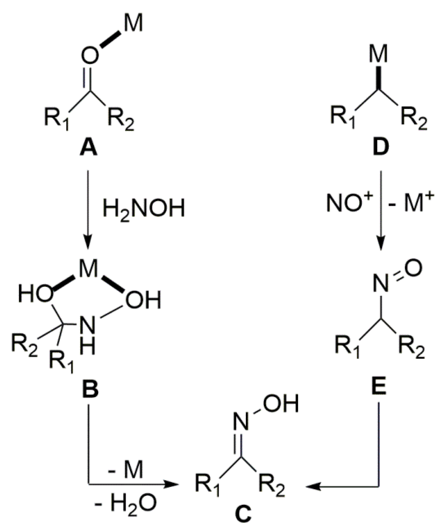 Molecules 30 00791 g007