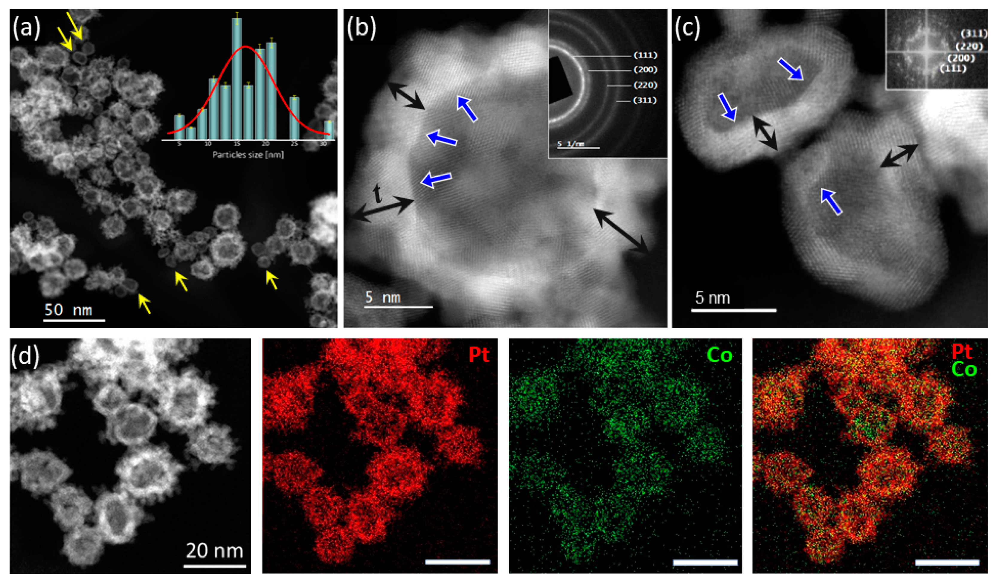 Molecules 30 00792 g001