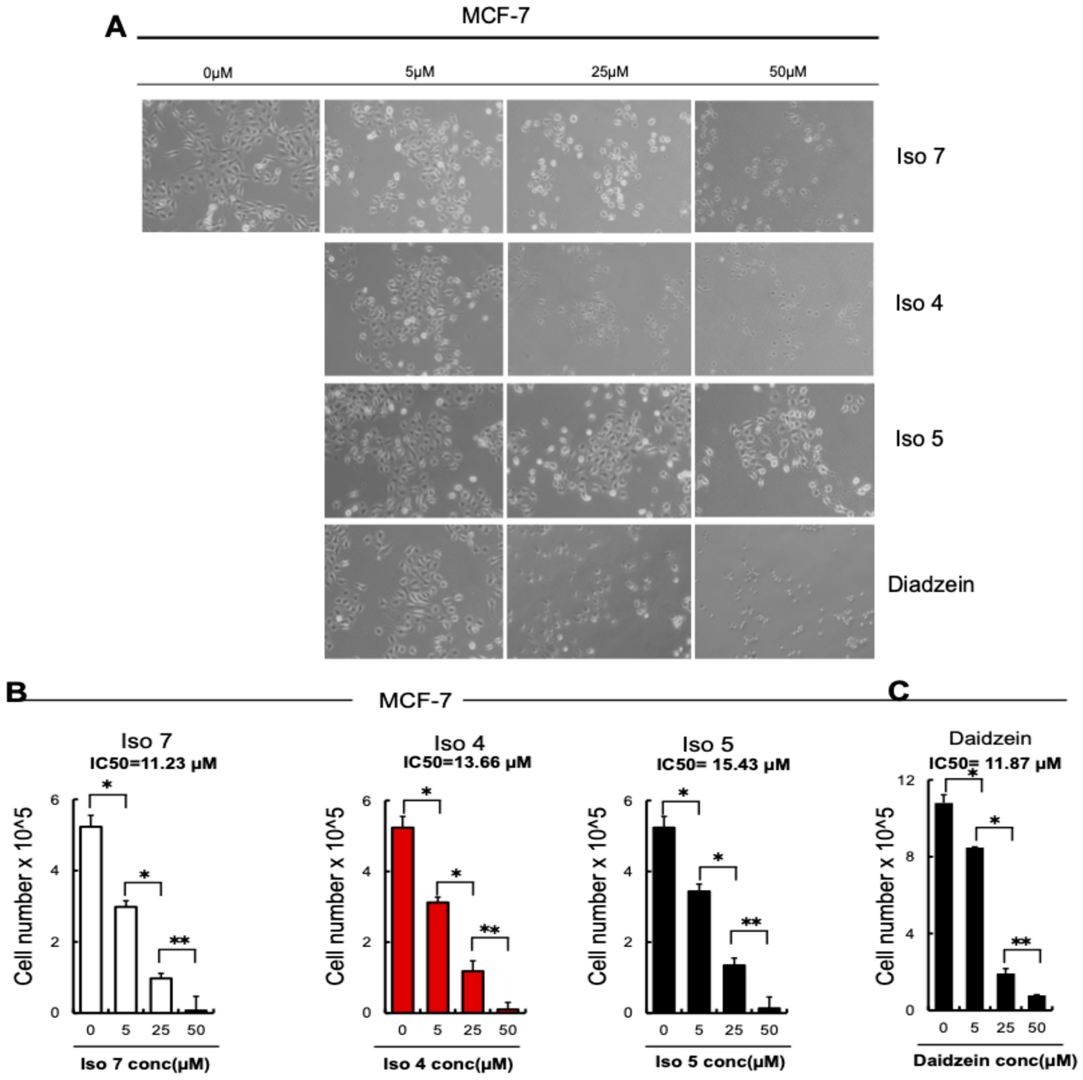 Molecules 30 00795 g009