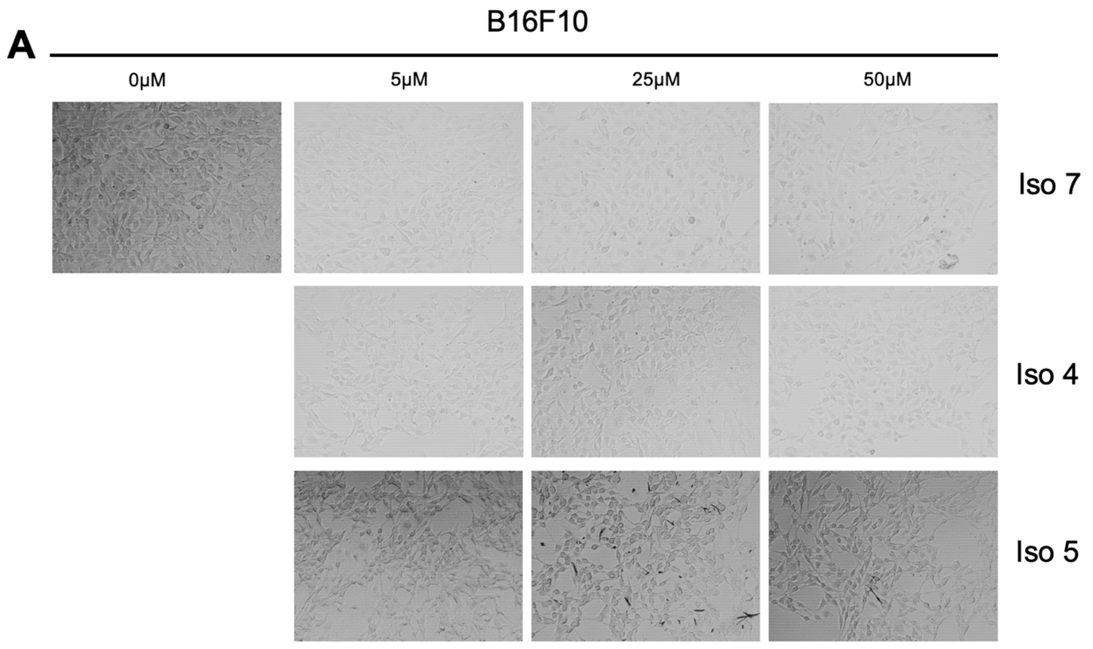 Molecules 30 00795 g010a