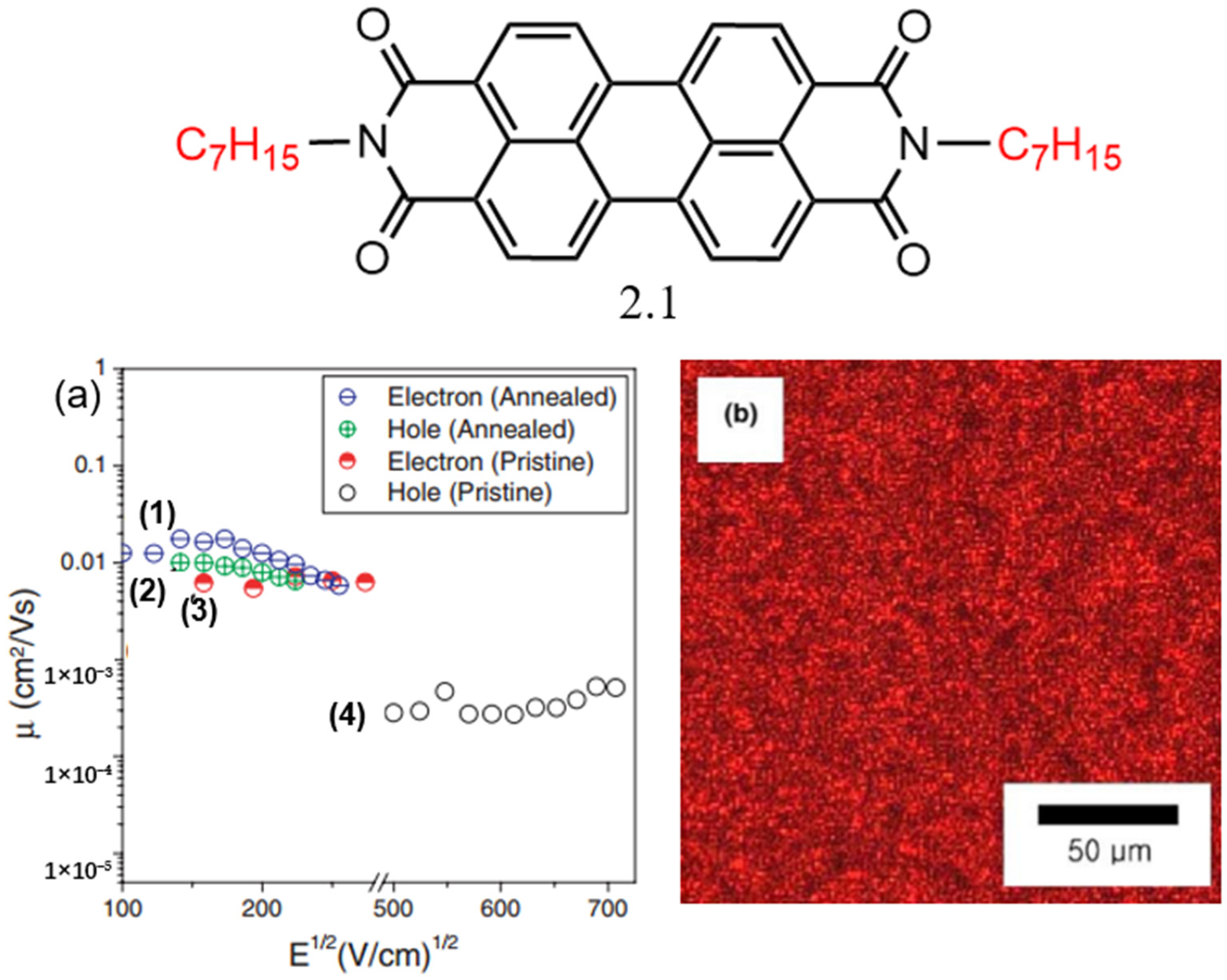 Molecules 30 00799 g003