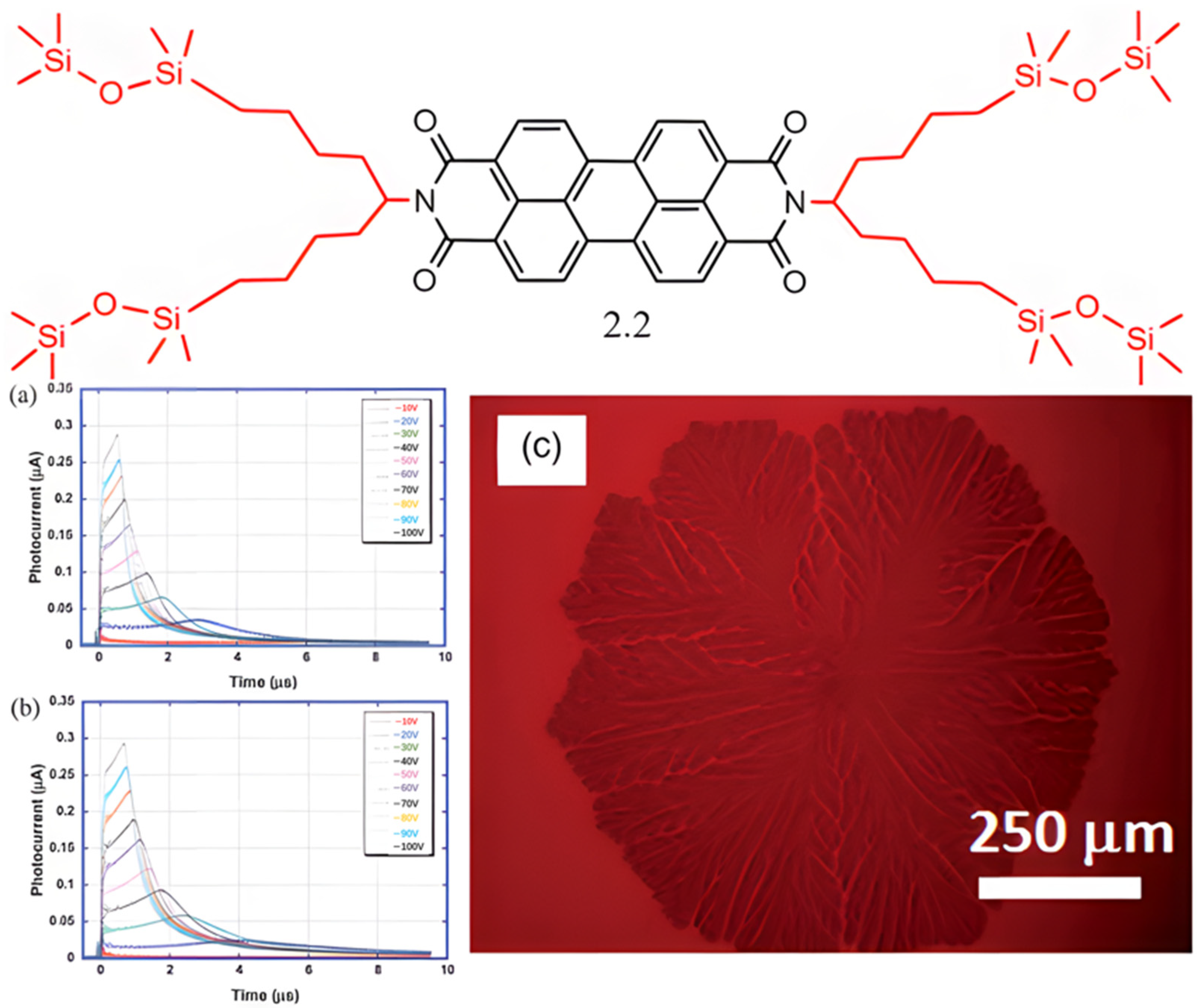 Molecules 30 00799 g004