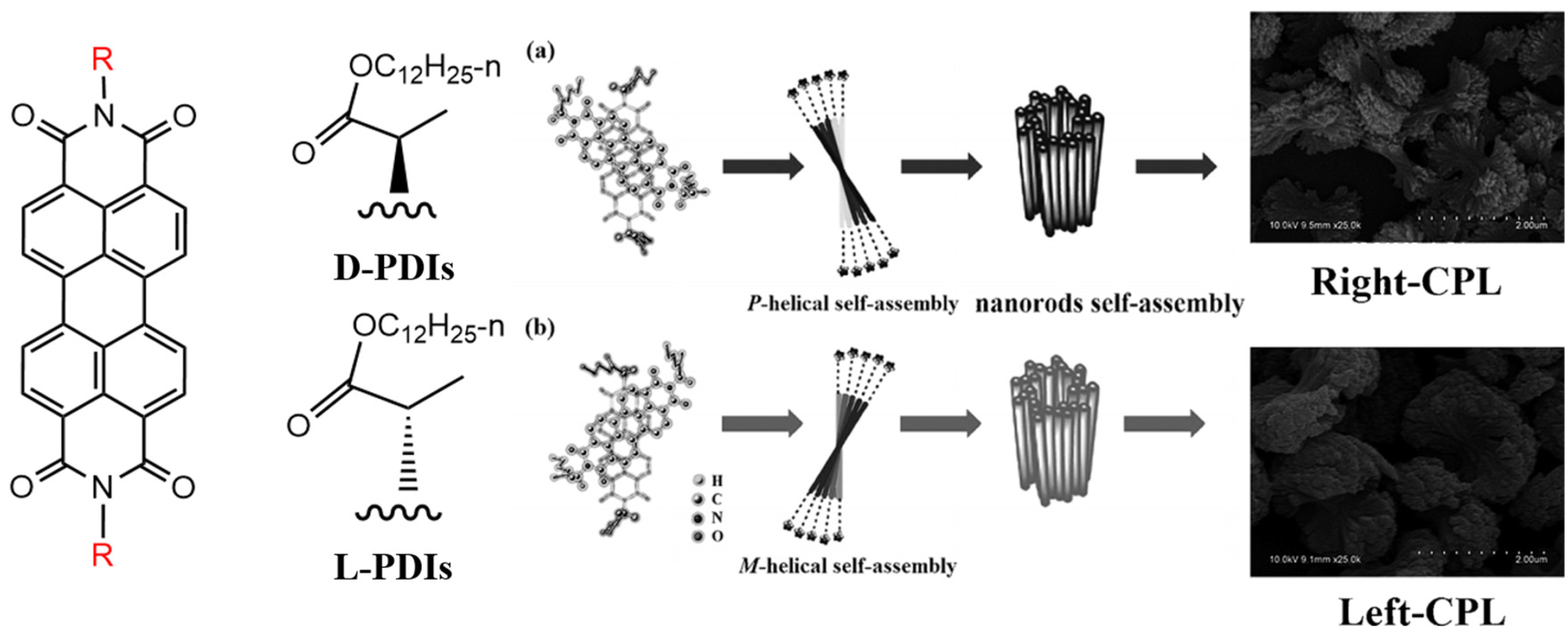 Molecules 30 00799 g005