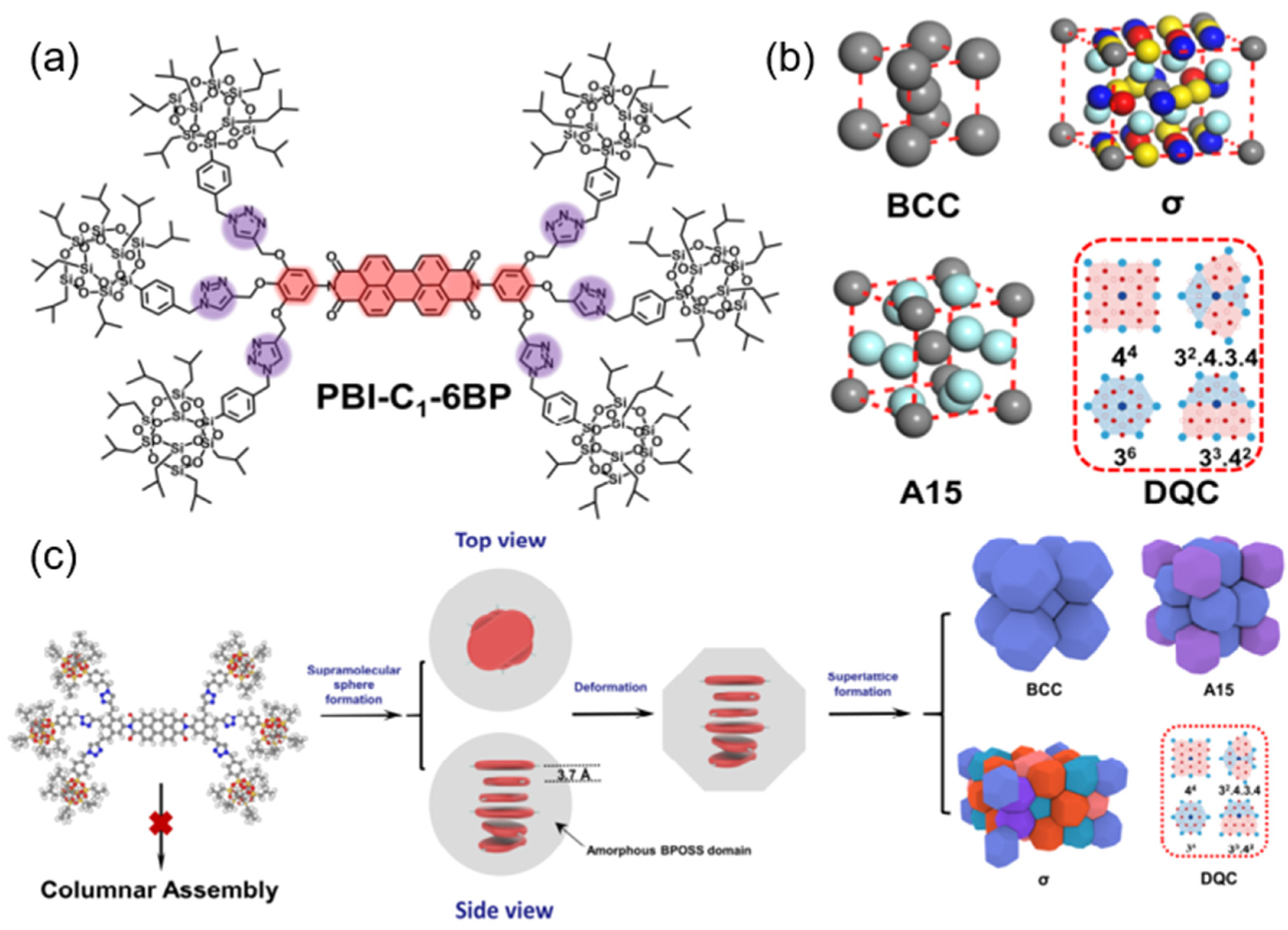 Molecules 30 00799 g007