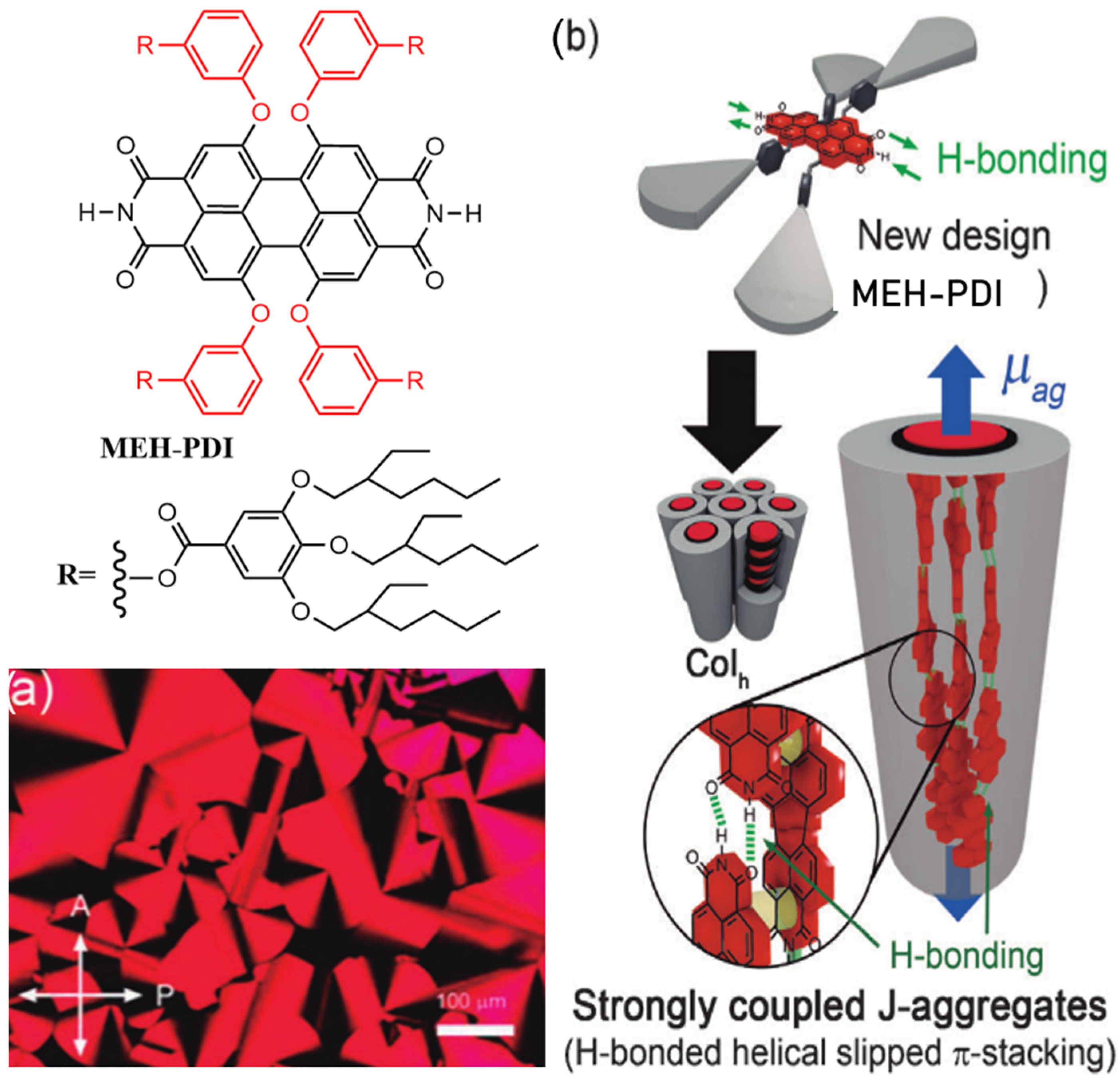 Molecules 30 00799 g011