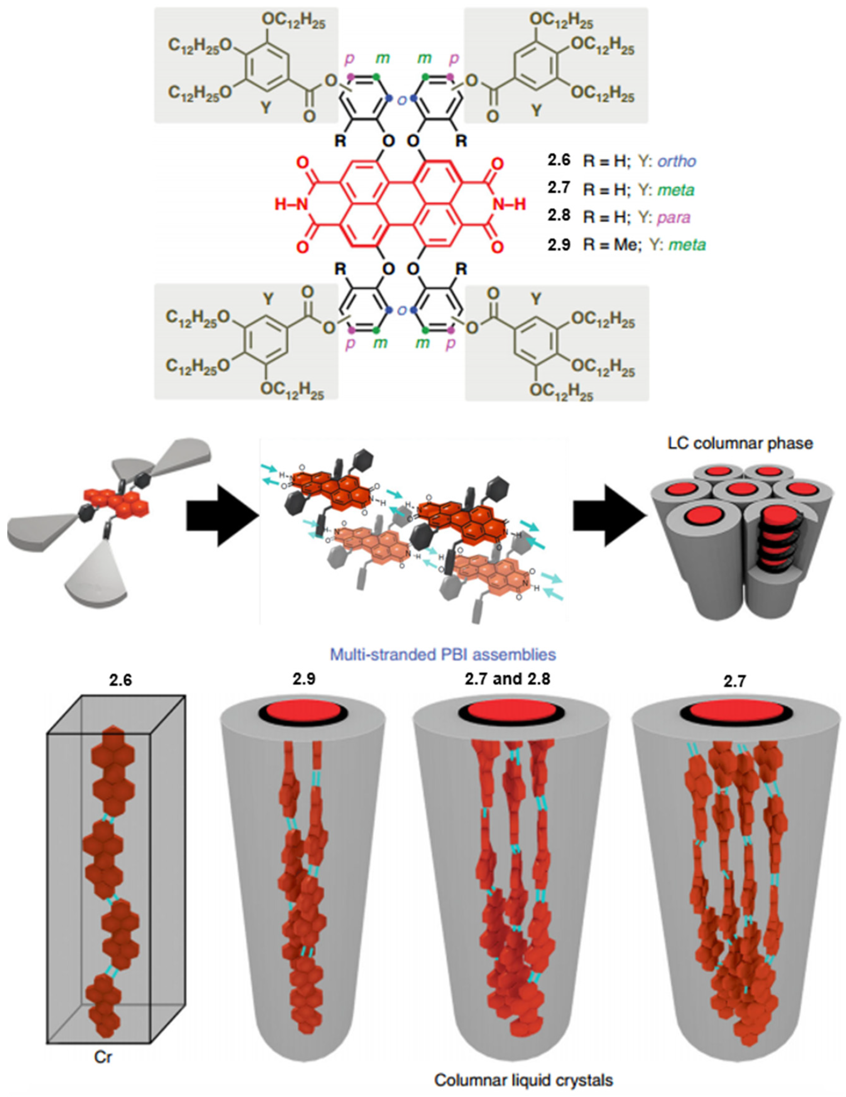 Molecules 30 00799 g013