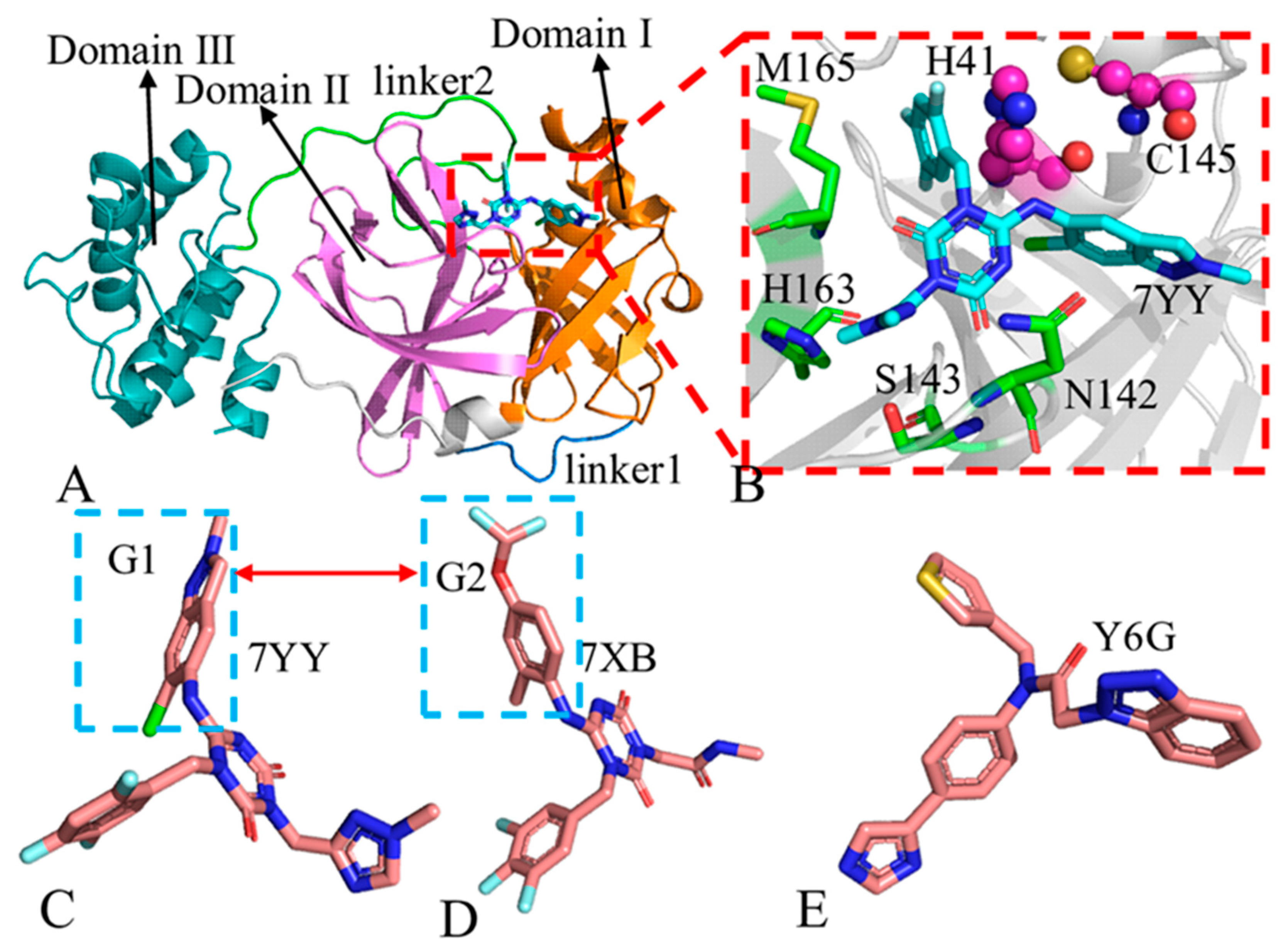 Molecules 30 00805 g001