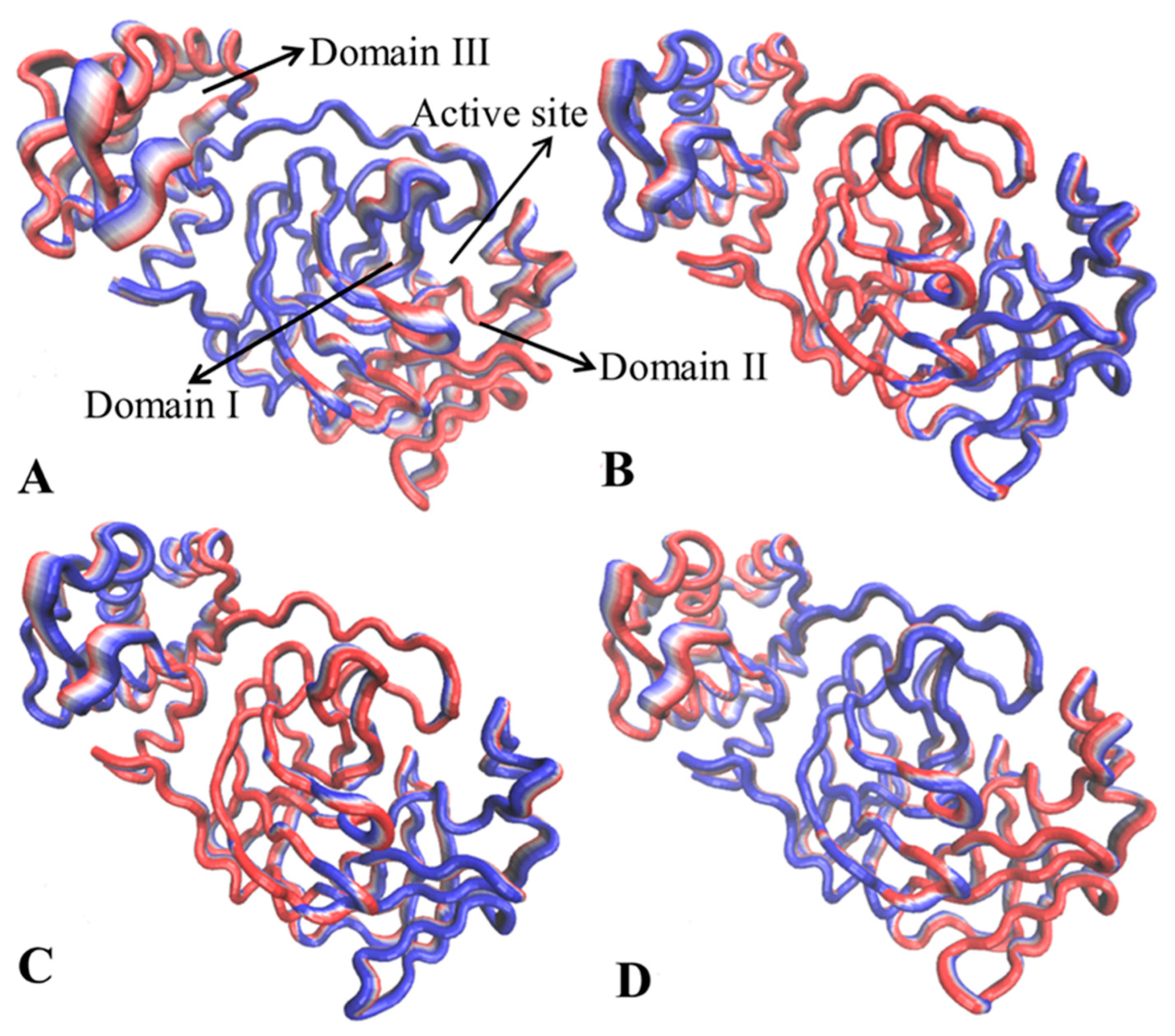 Molecules 30 00805 g006