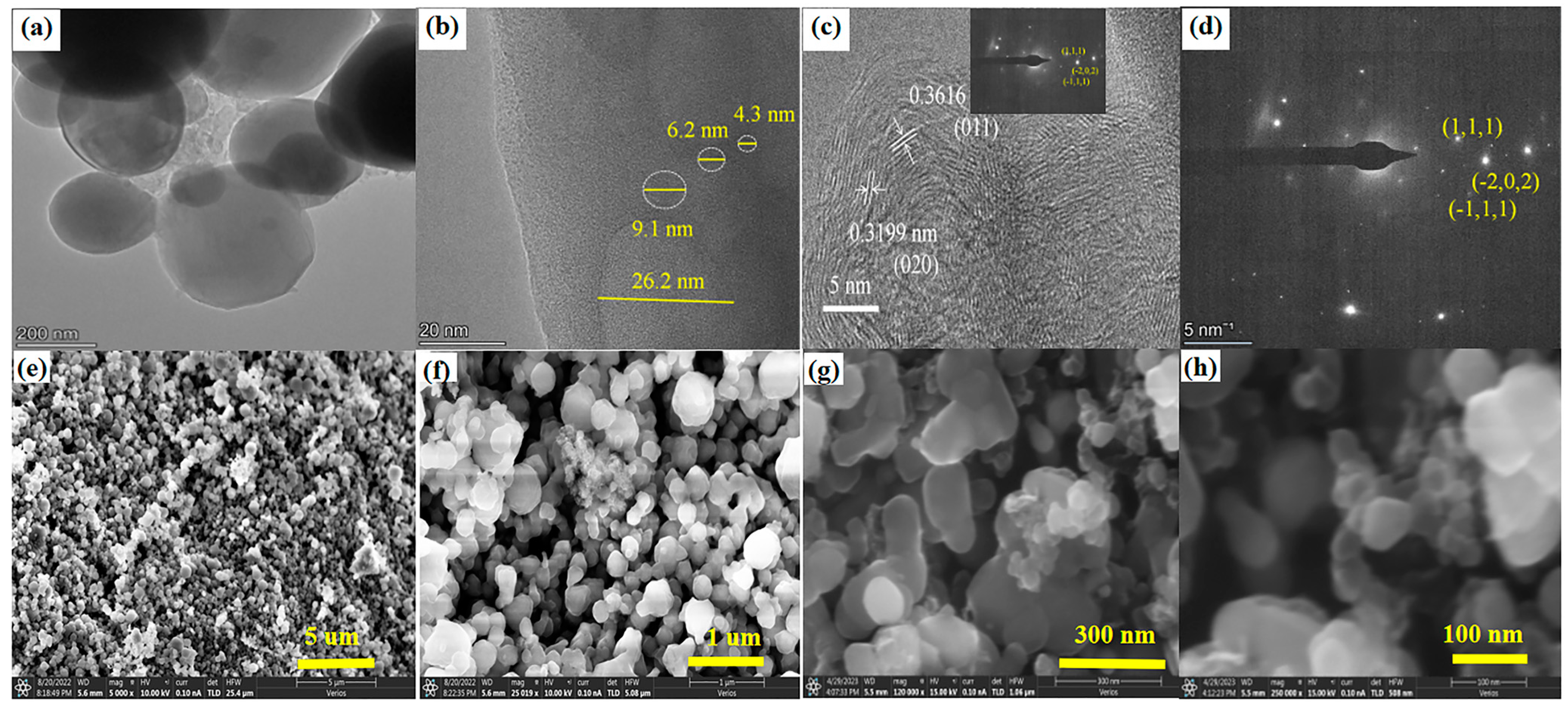 Molecules 30 00808 g005