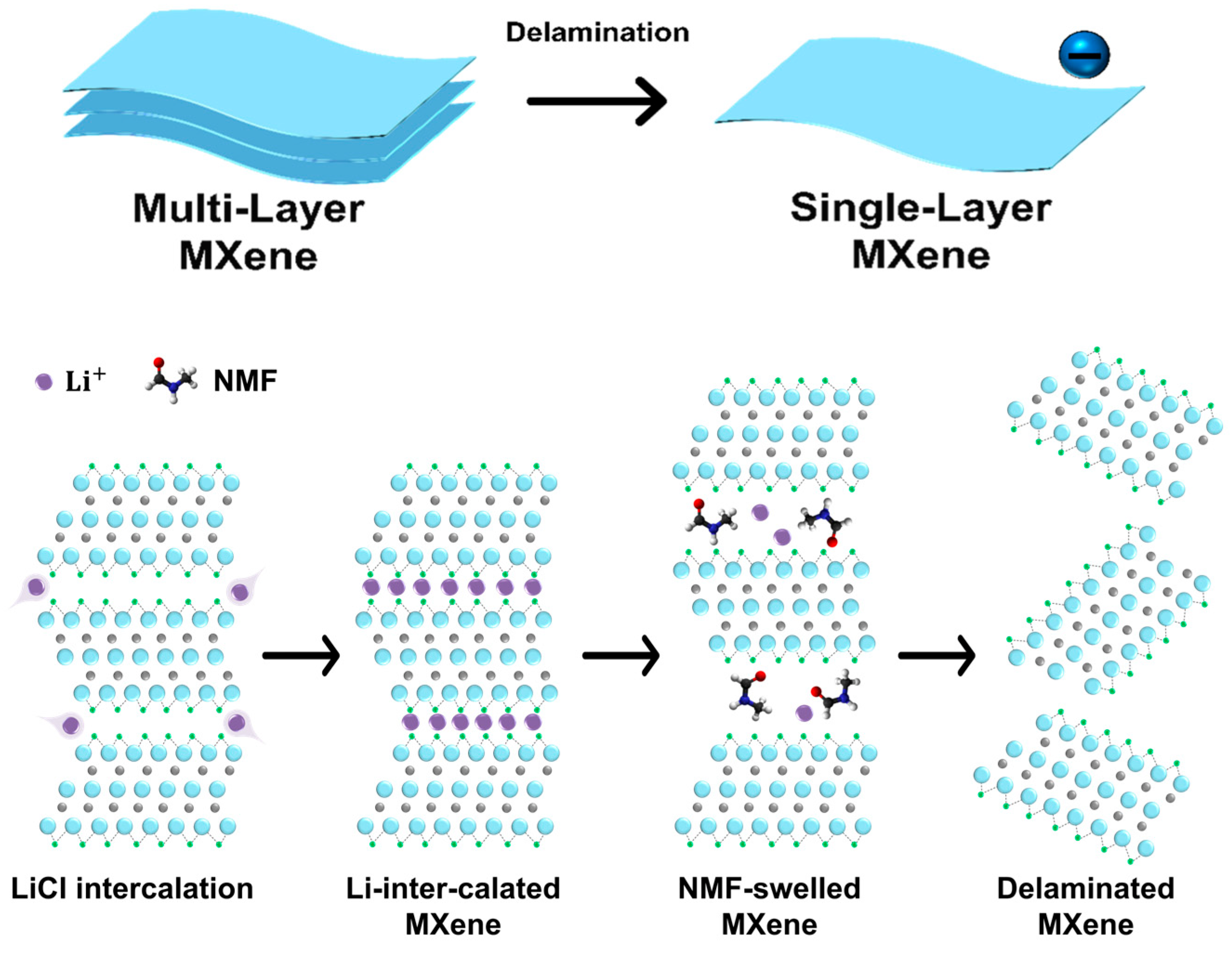 Molecules 30 00812 g003
