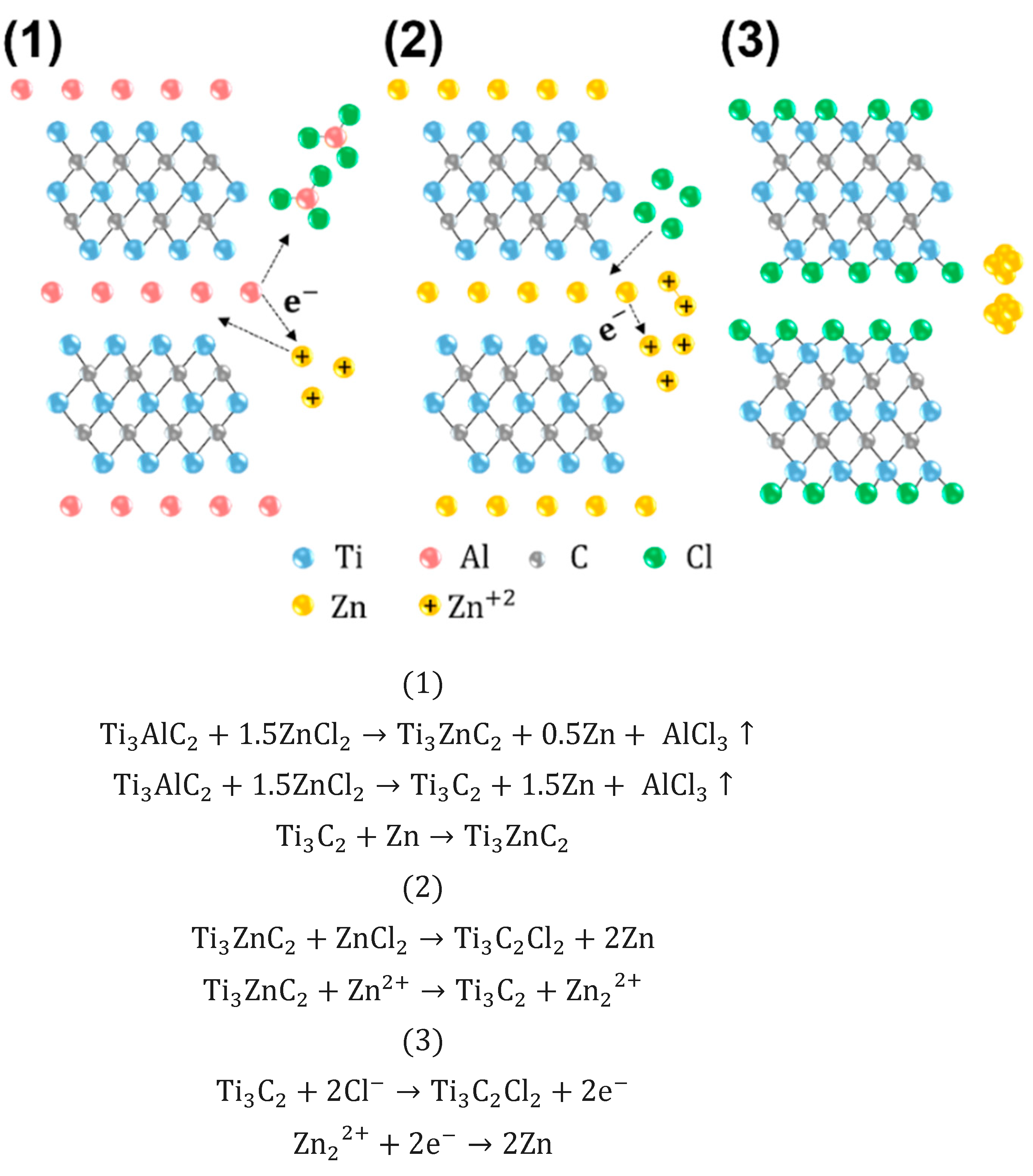 Molecules 30 00812 g005
