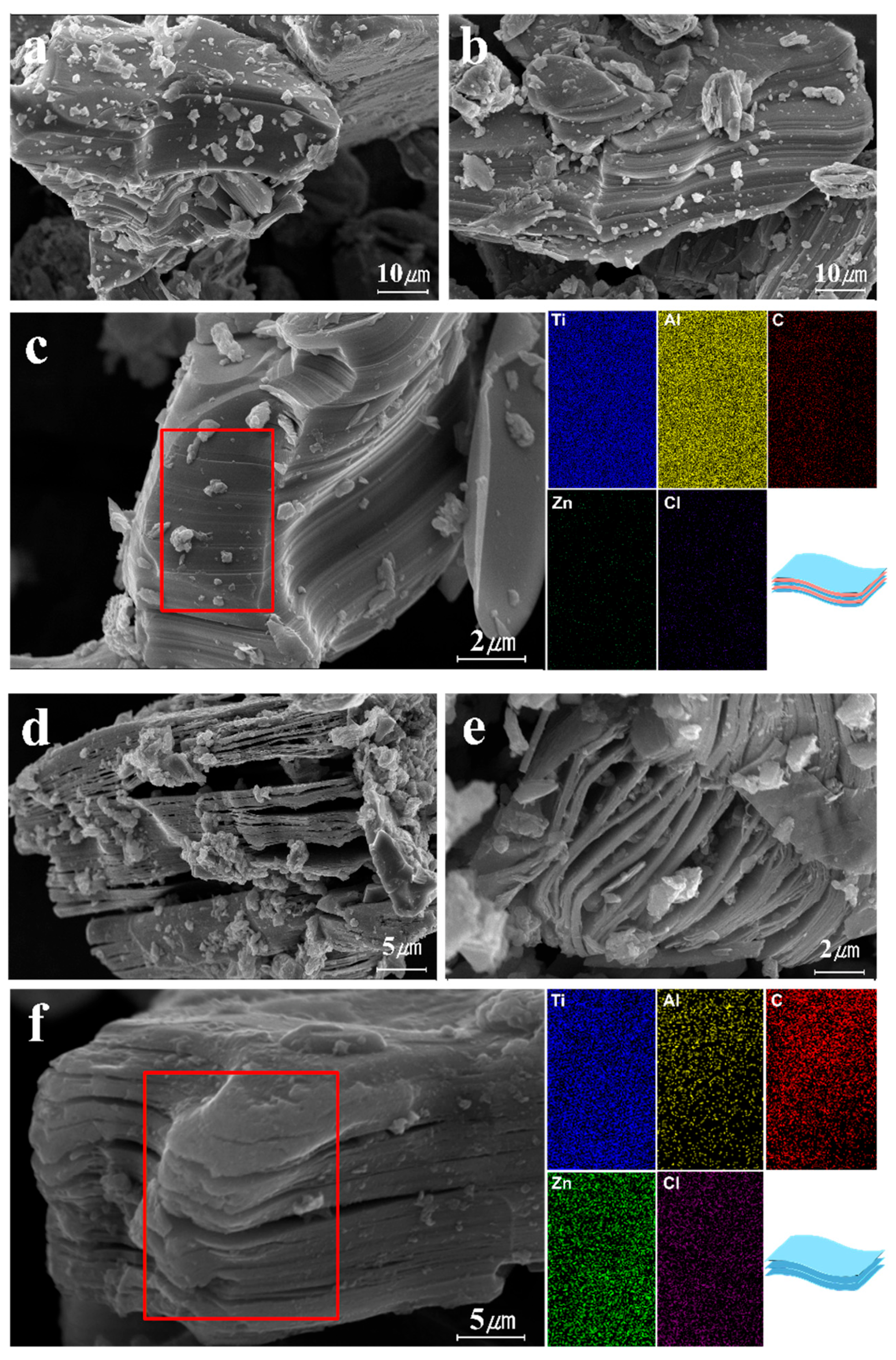 Molecules 30 00812 g006