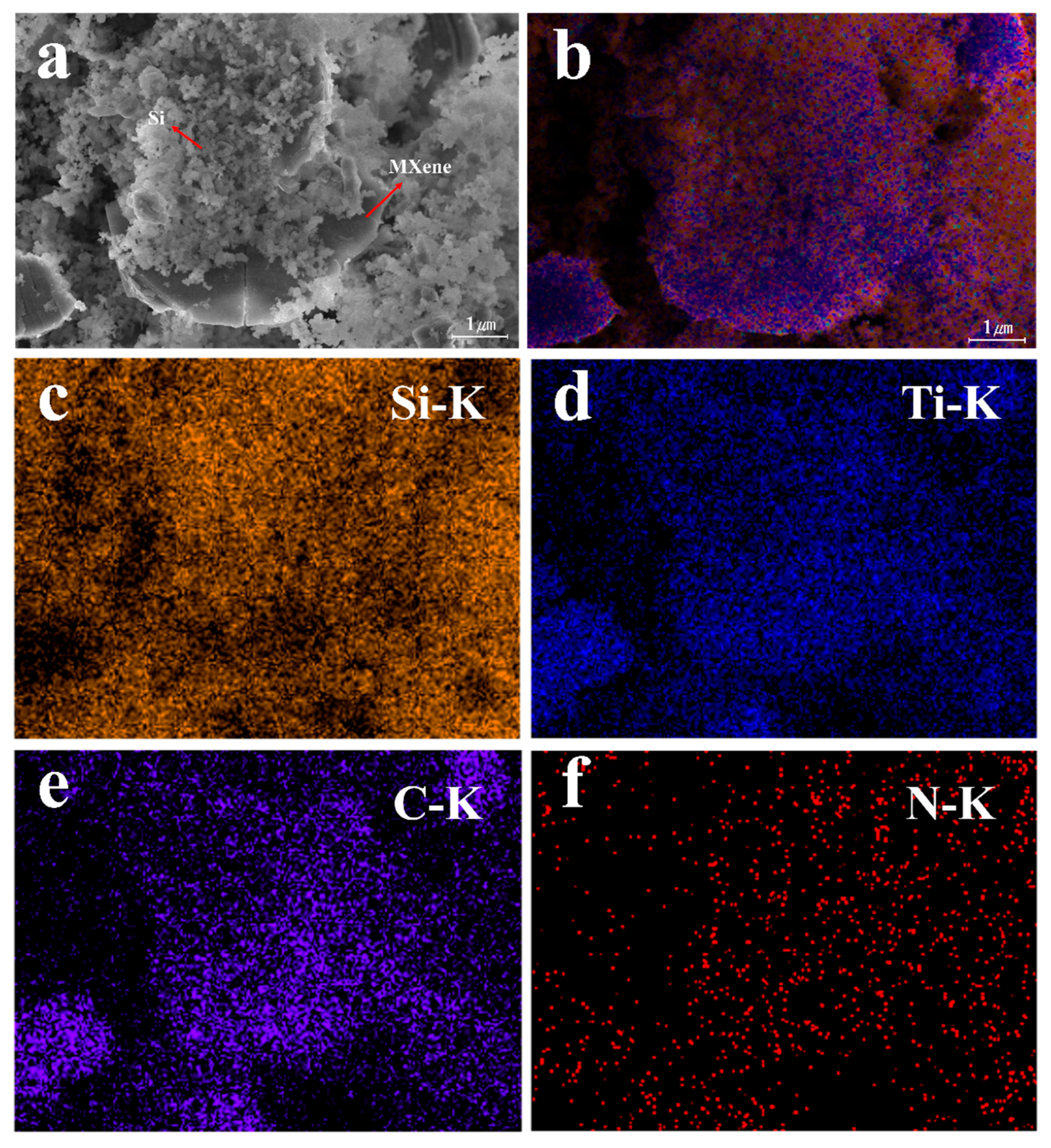 Molecules 30 00812 g019