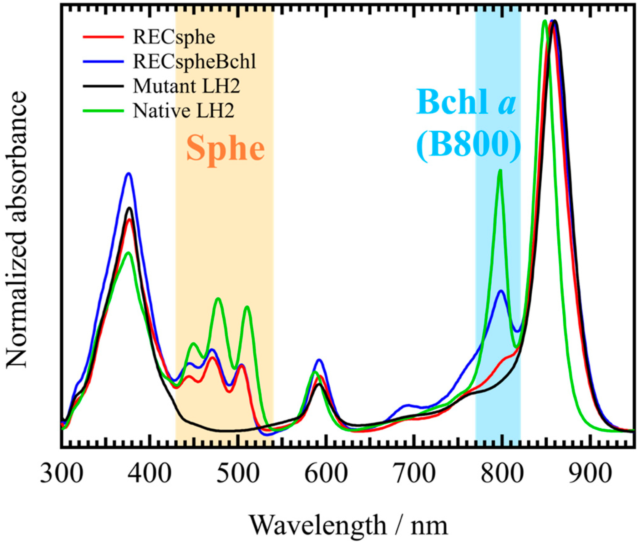 Molecules 30 00814 g001