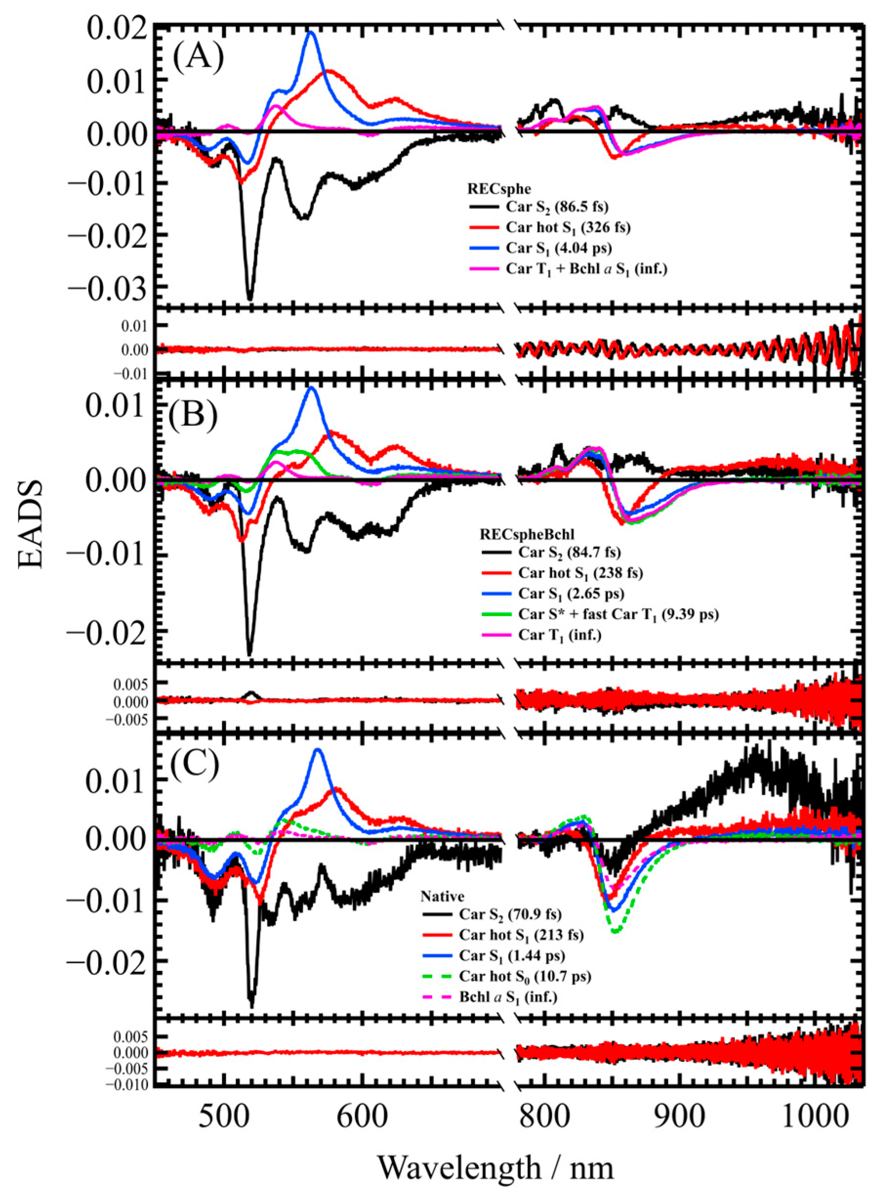 Molecules 30 00814 g004