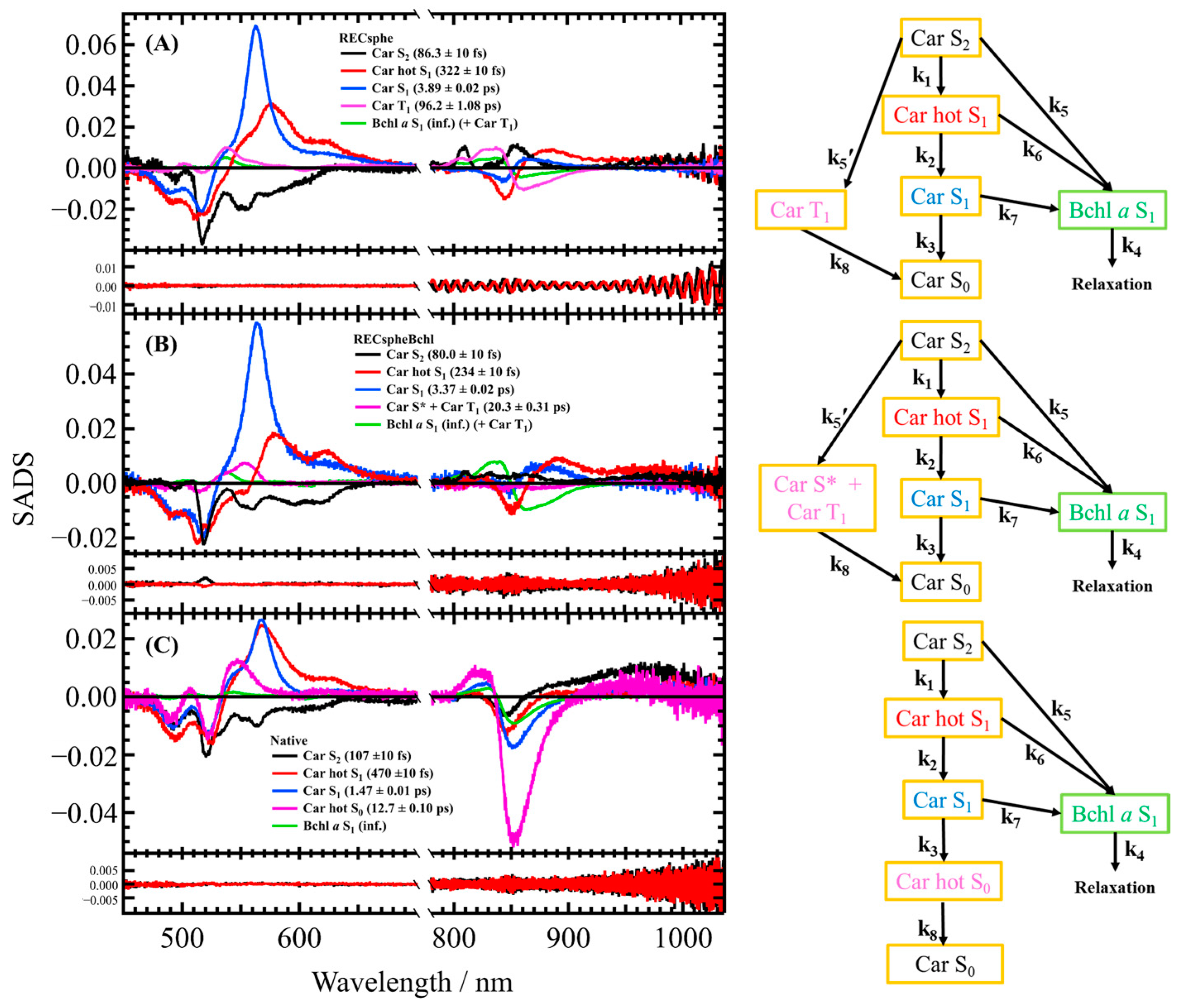 Molecules 30 00814 g006
