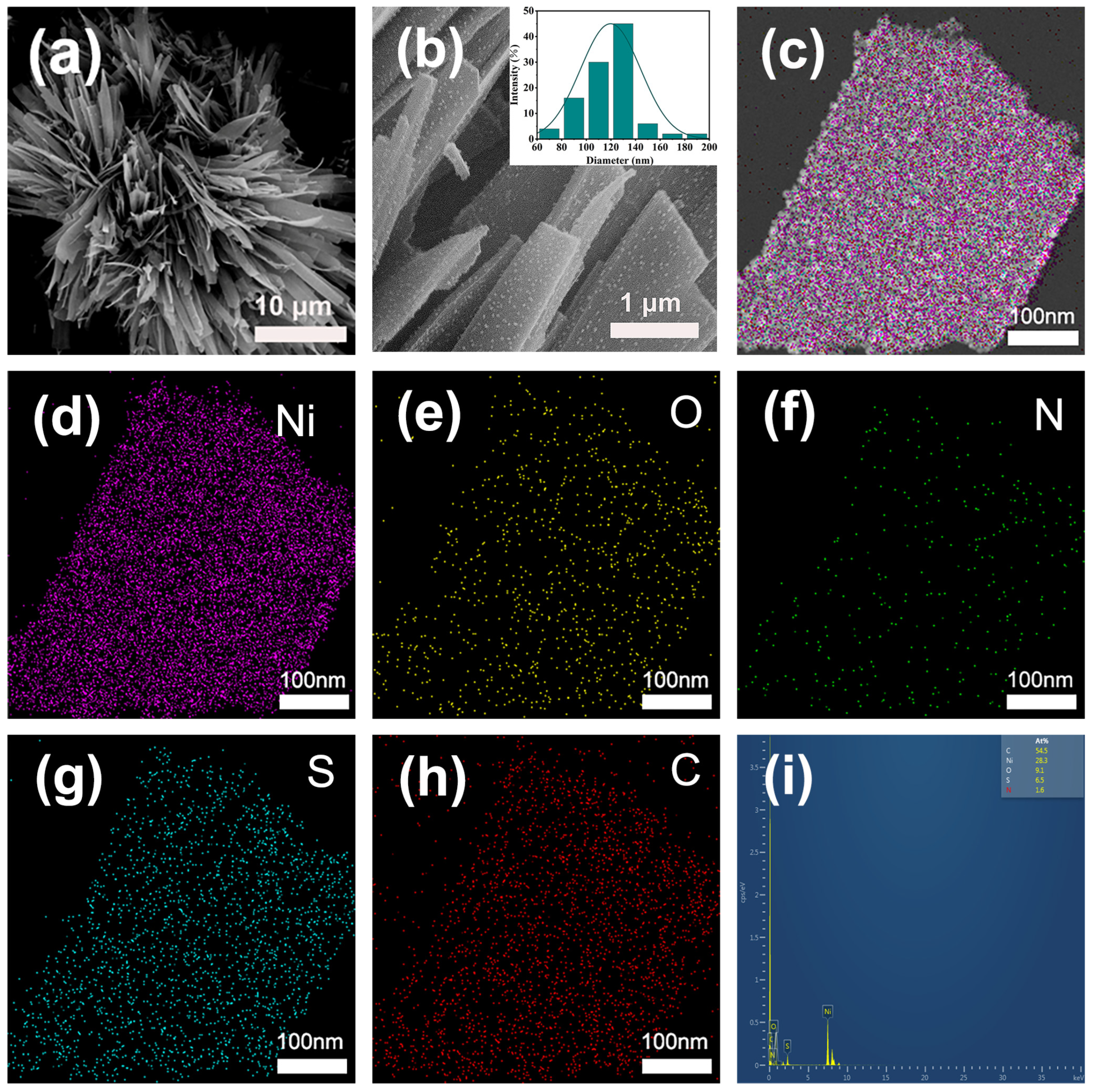 Molecules 30 00820 g003