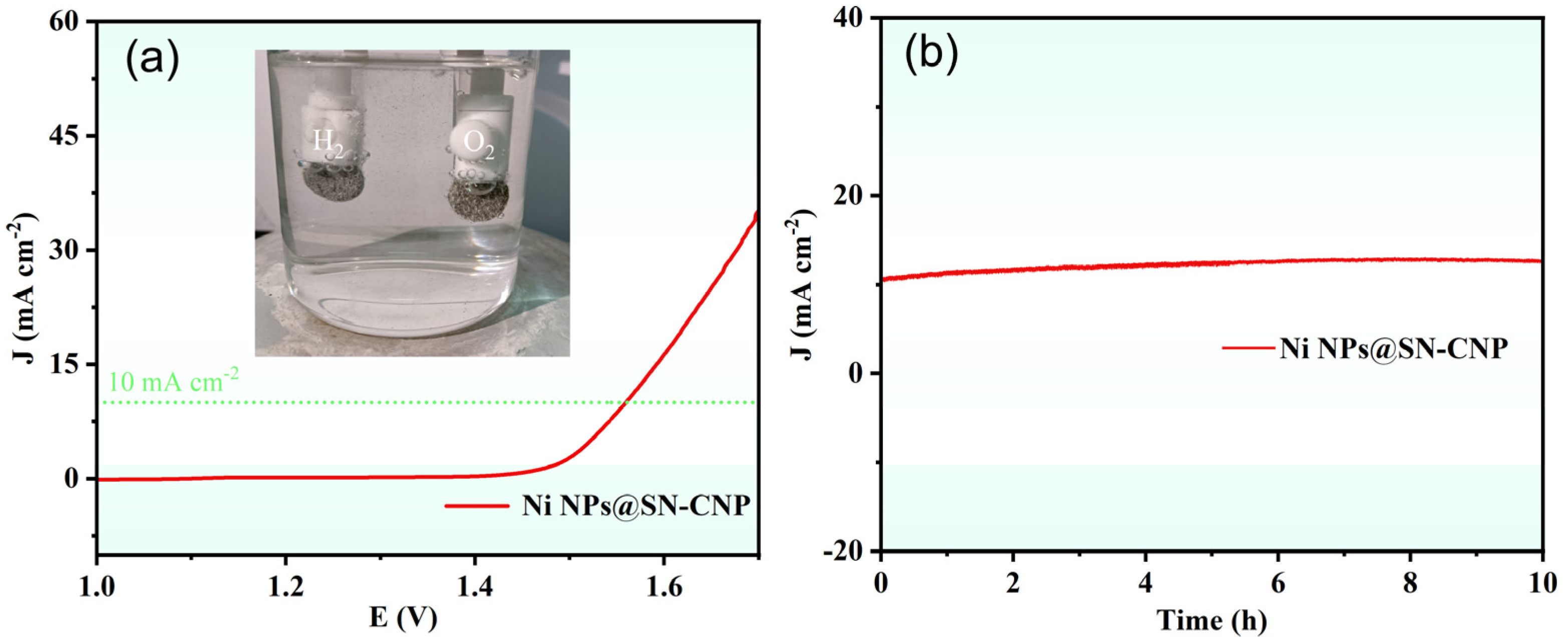 Molecules 30 00820 g008