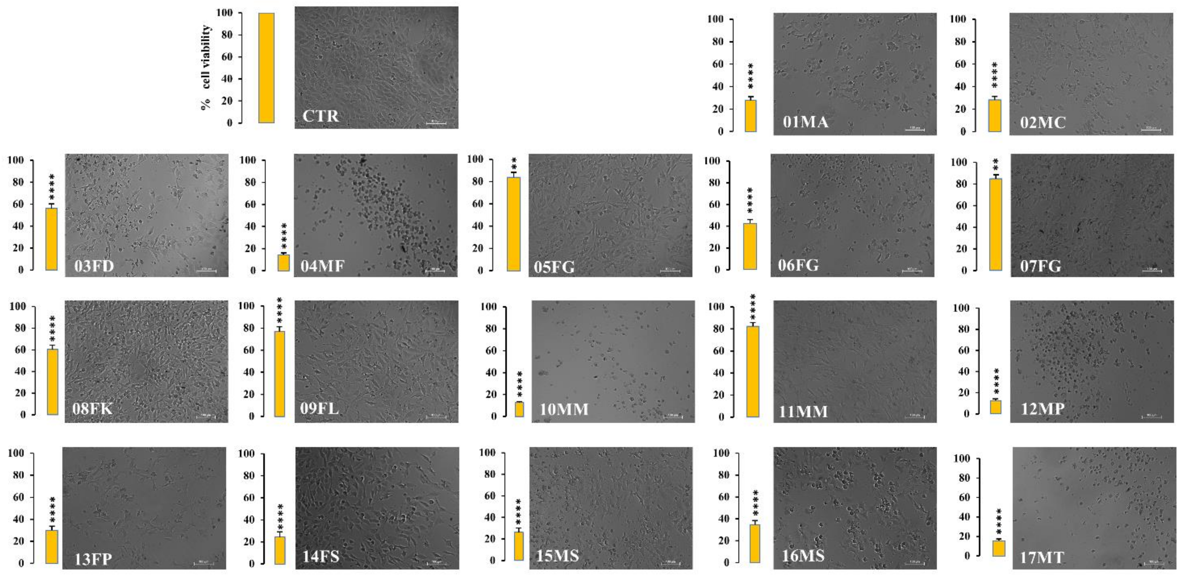 Molecules 30 00821 g006