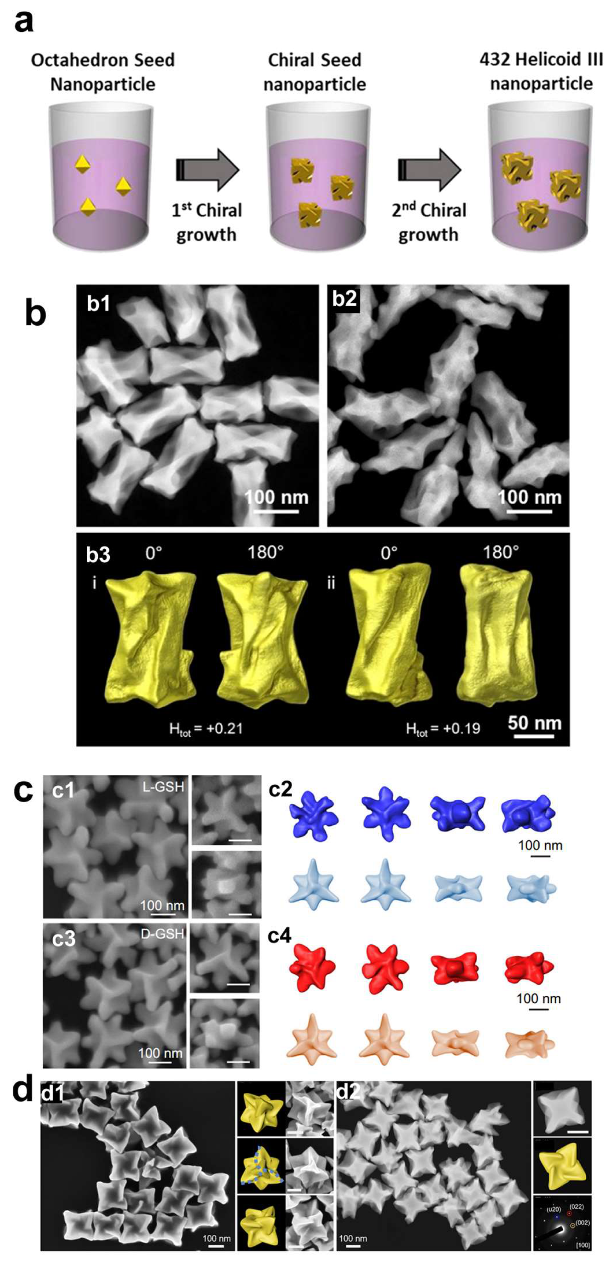 Molecules 30 00829 g001