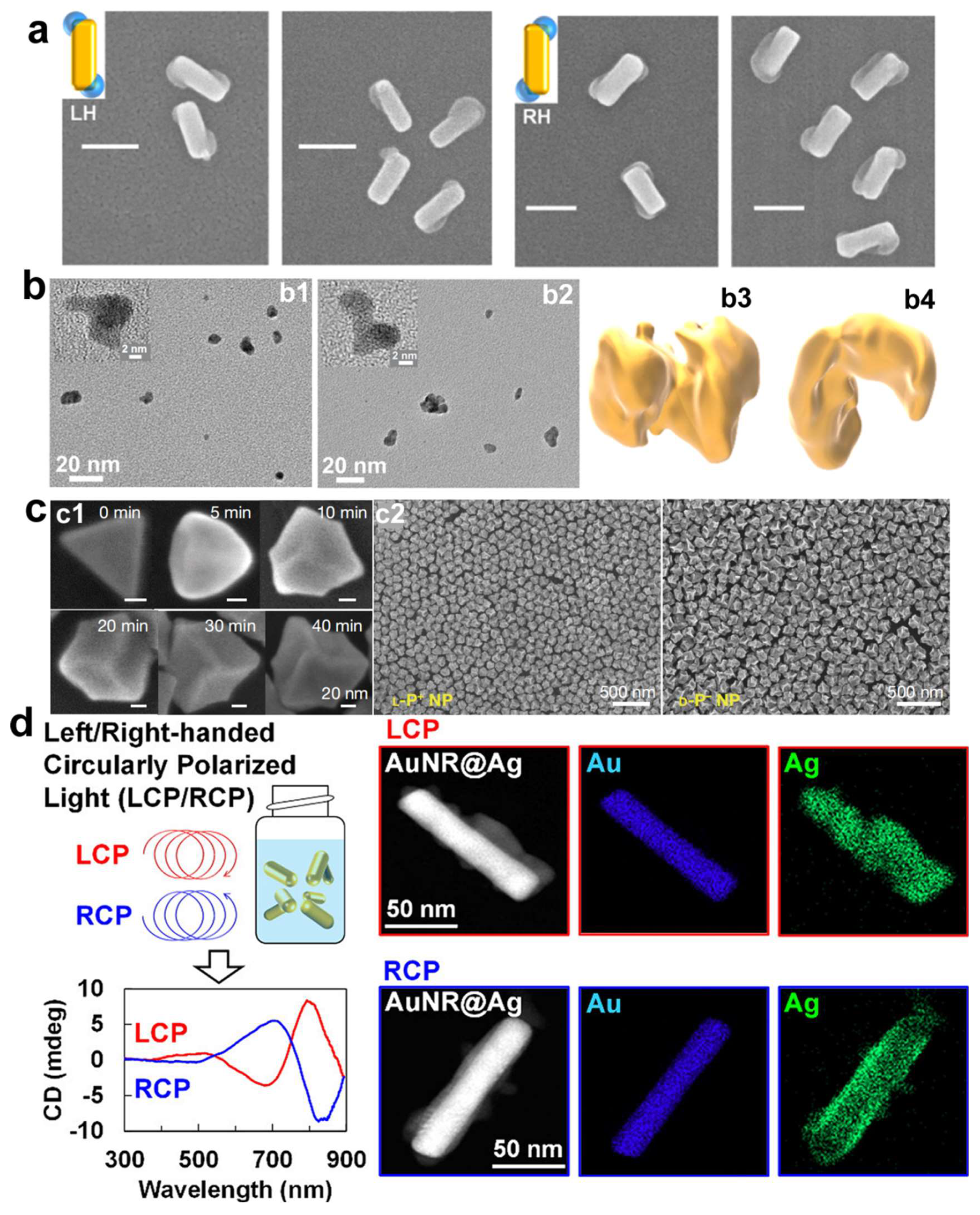 Molecules 30 00829 g002
