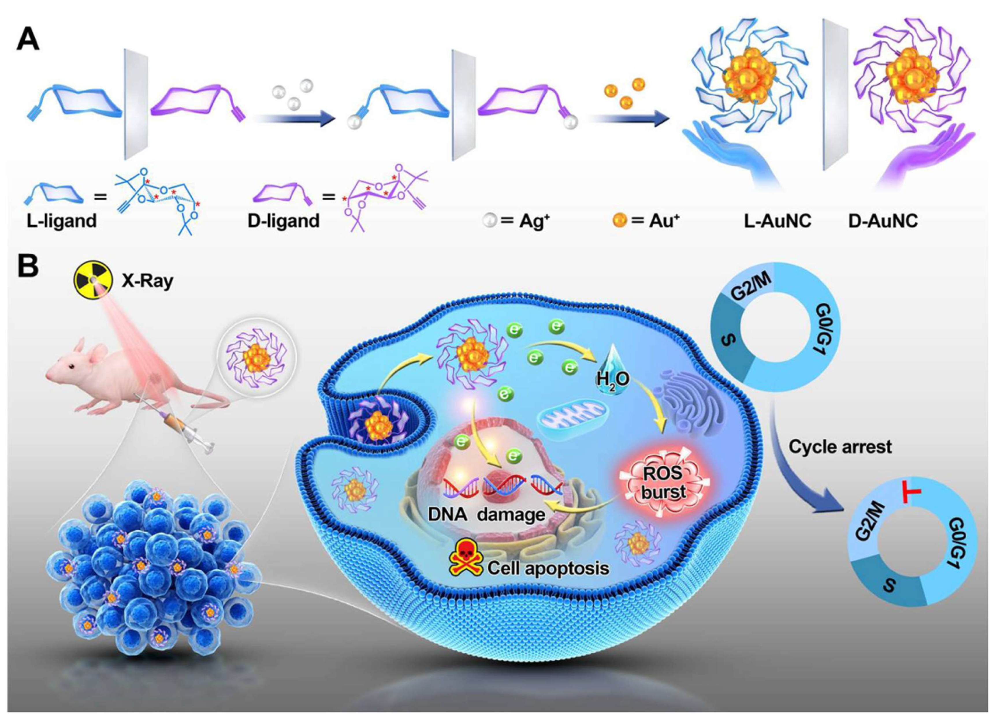 Molecules 30 00829 g005