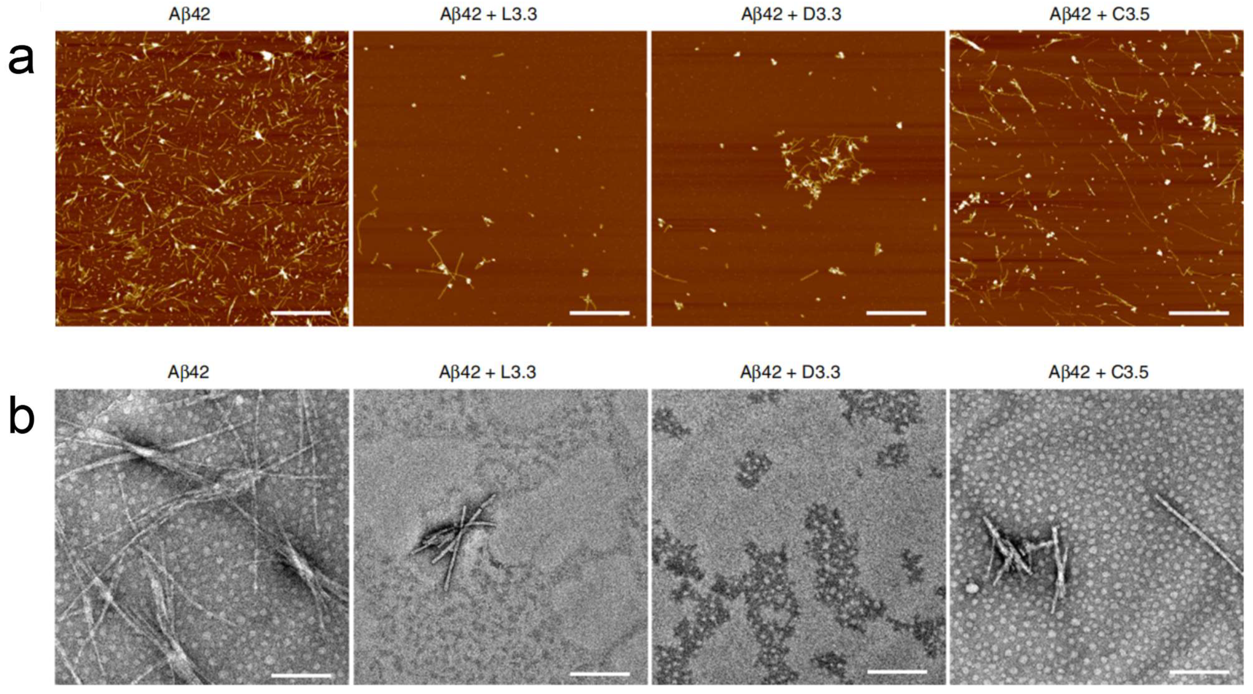 Molecules 30 00829 g007